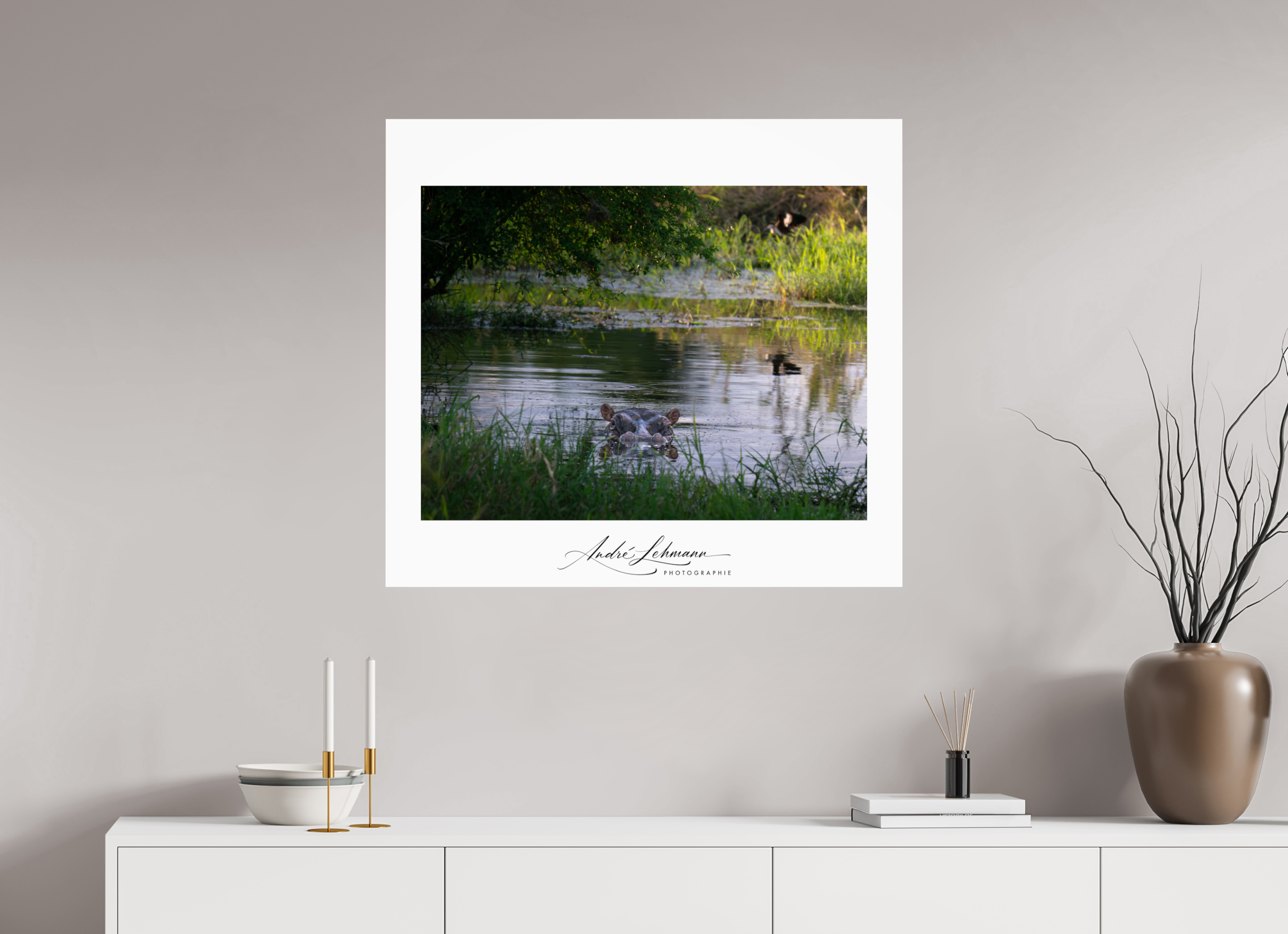 88.3 x 80 cm, Photo Print Under Acrylic Glass Hippo in the pond