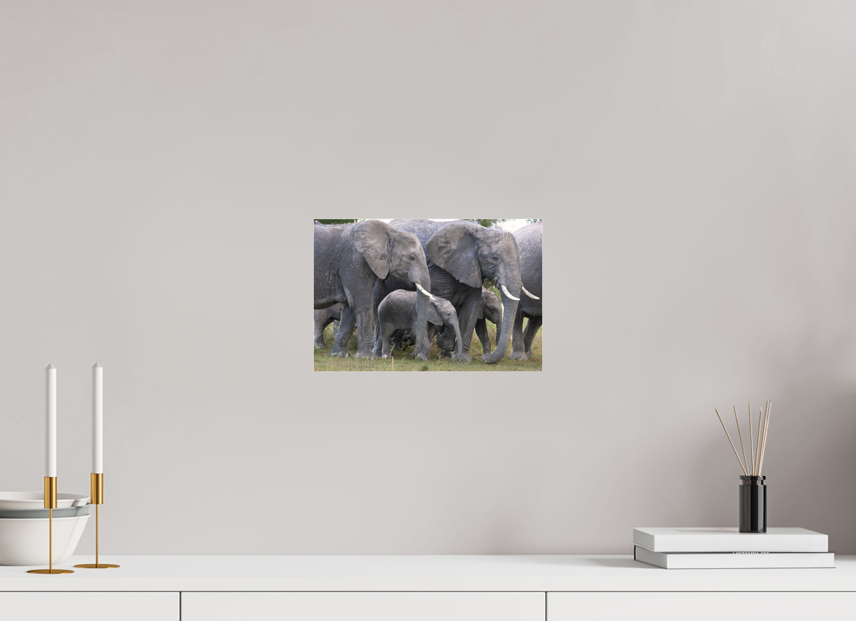 30 x 20 cm, Photo Print Under Acrylic Glass Elephant calf