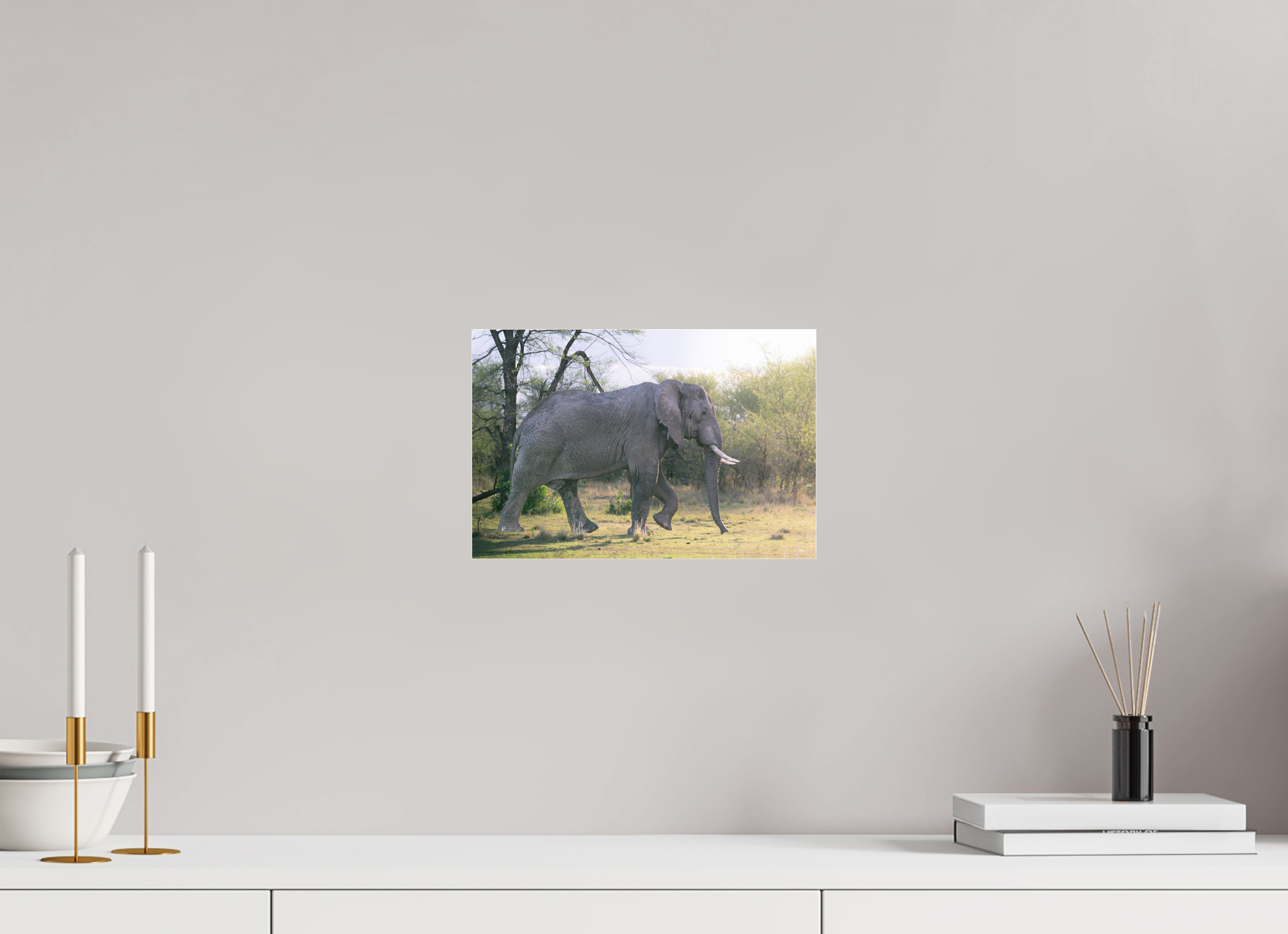 30 x 20 cm, Photo Print Under Acrylic Glass Walking giant (no frame)