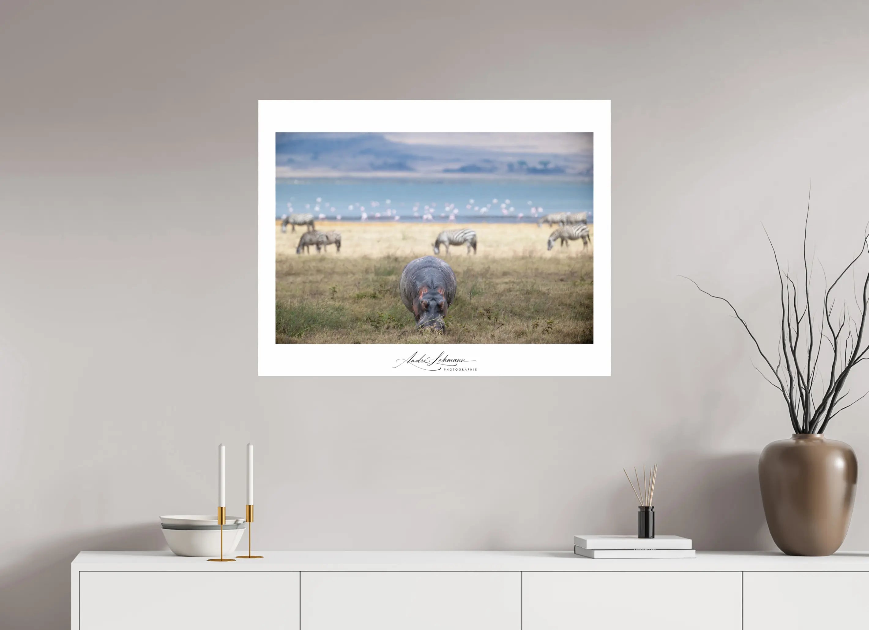 89.3 x 70 cm, Photo Print Under Acrylic Glass Hippo grazing