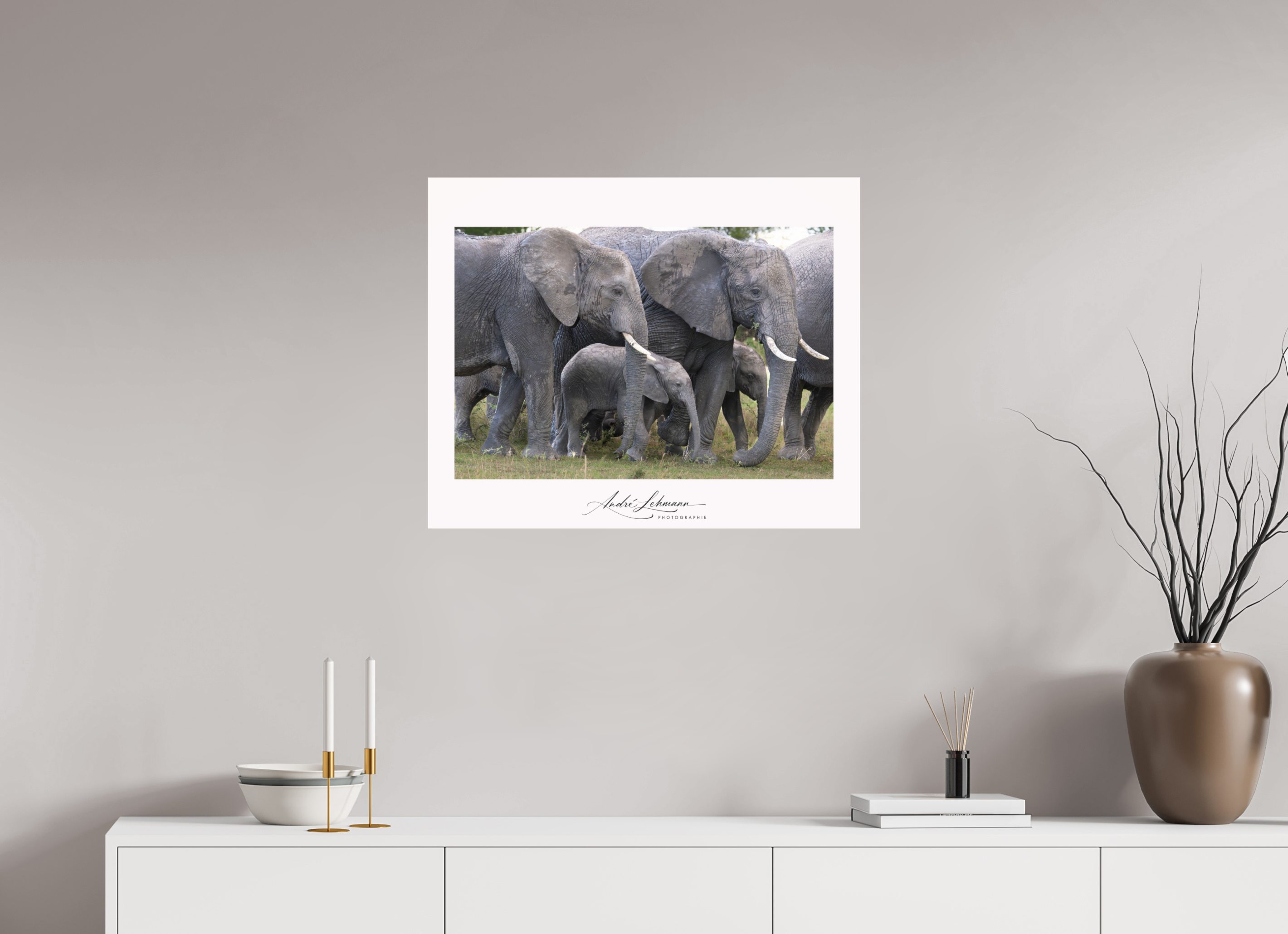 73.8 x 60 cm, Photo Print Under Acrylic Glass Elephant calf