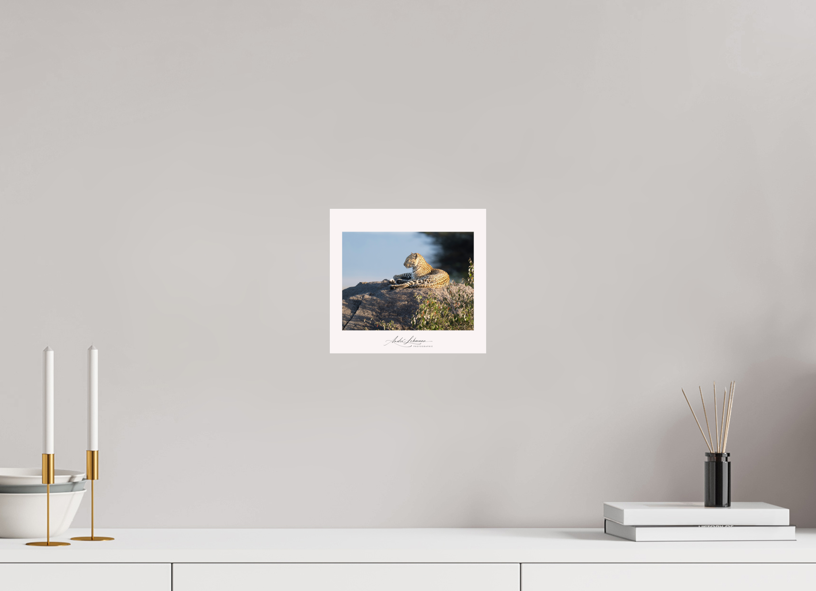 21.6 x 20 cm, Photo Print Under Acrylic Glass Leopard scanning the horizon