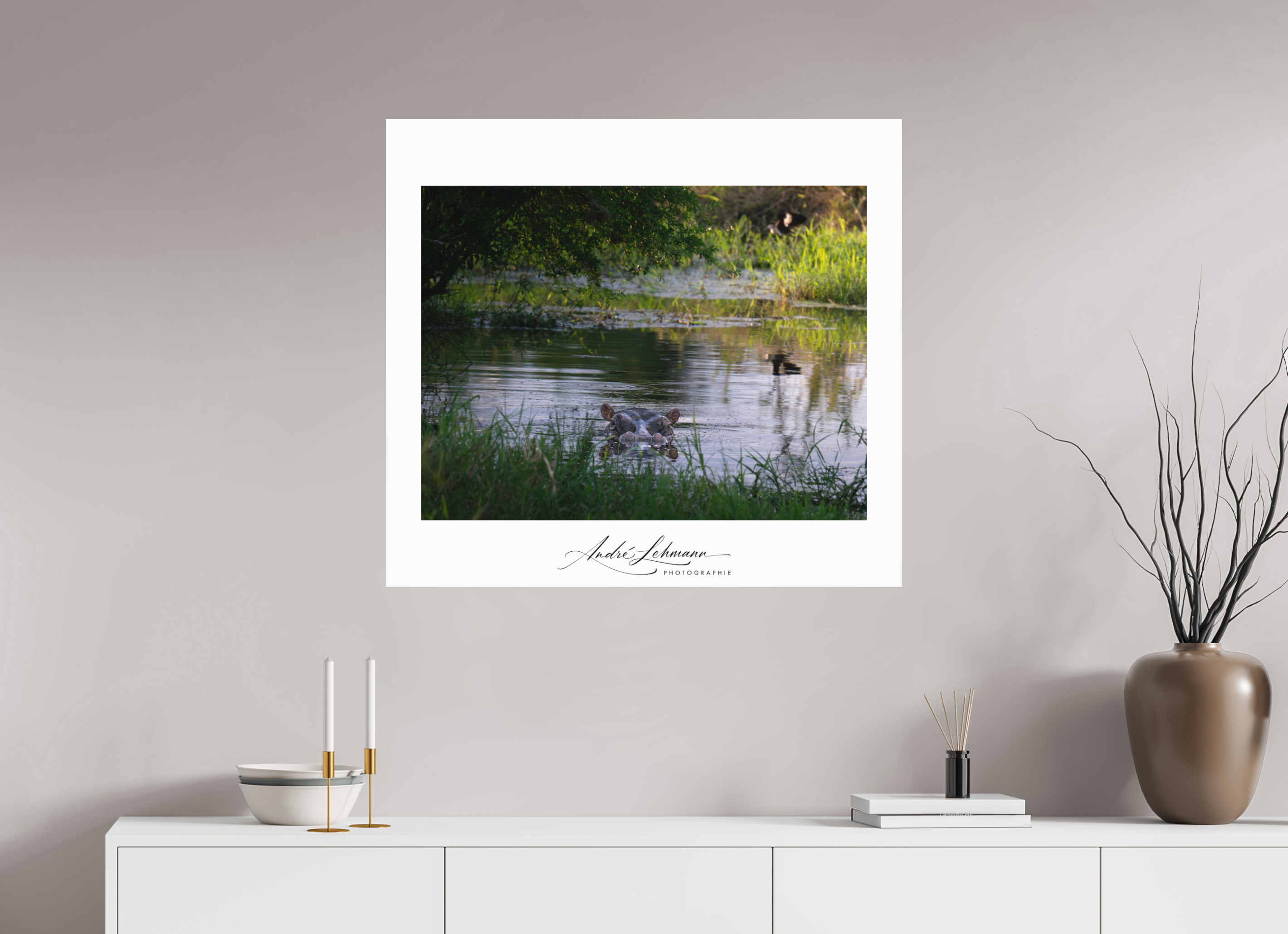 88.3 x 80 cm, Foto-Druck auf Alu-Dibond Hippo in the pond (Alu dibond)