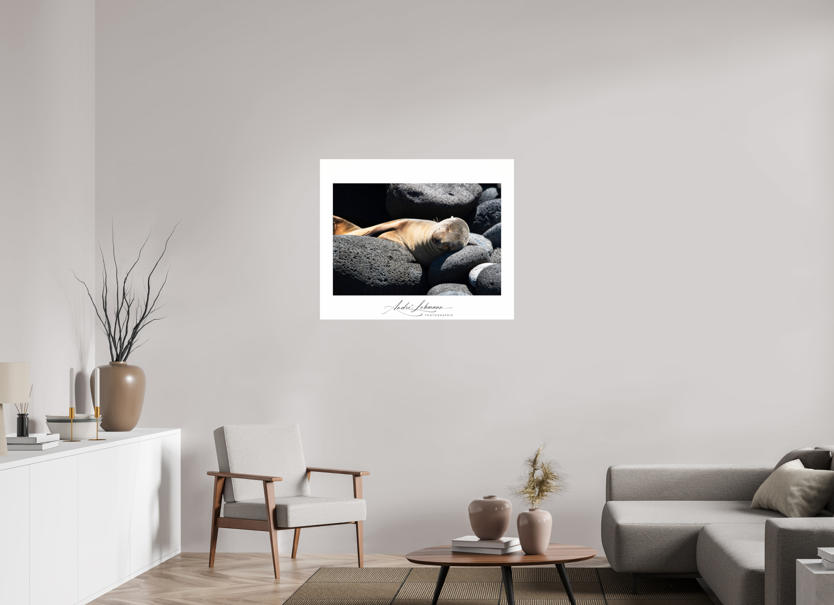 96.8 x 80 cm, Photo Print Under Acrylic Glass Galapagos sea lion