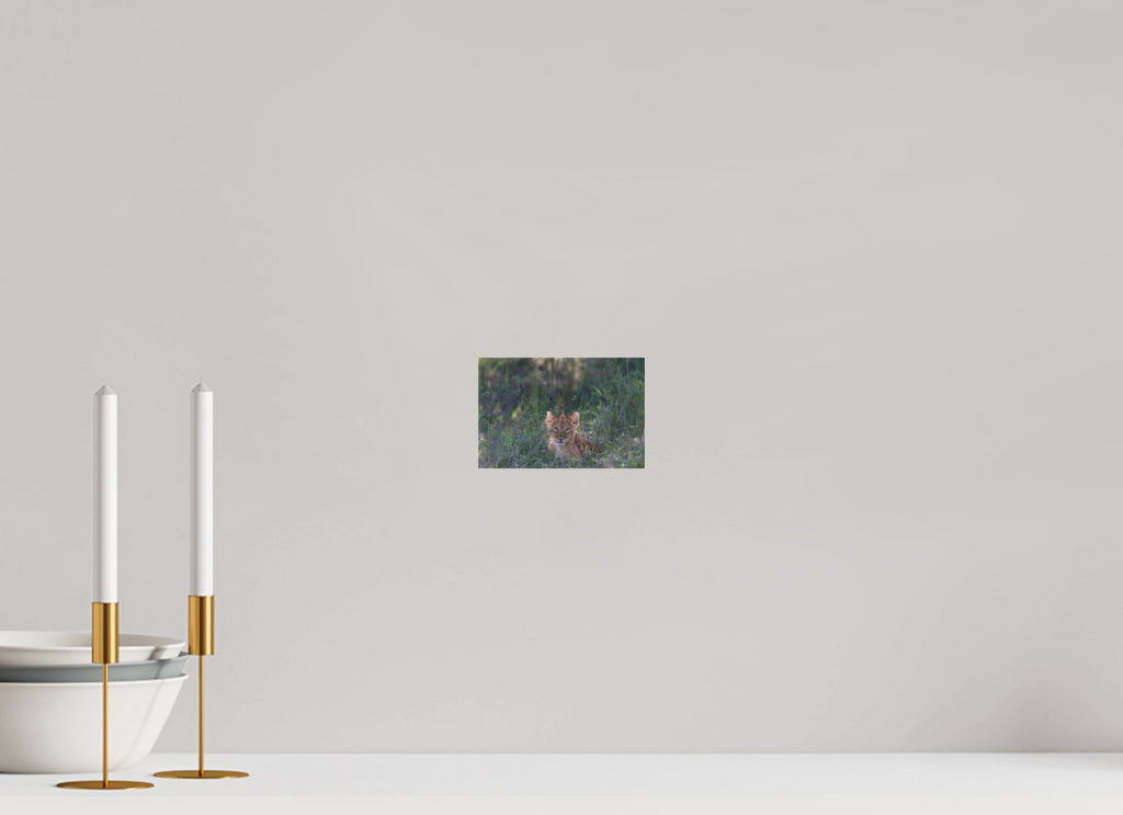 15 x 10 cm, Photo Print Under Acrylic Glass Lionb cub (no frame)