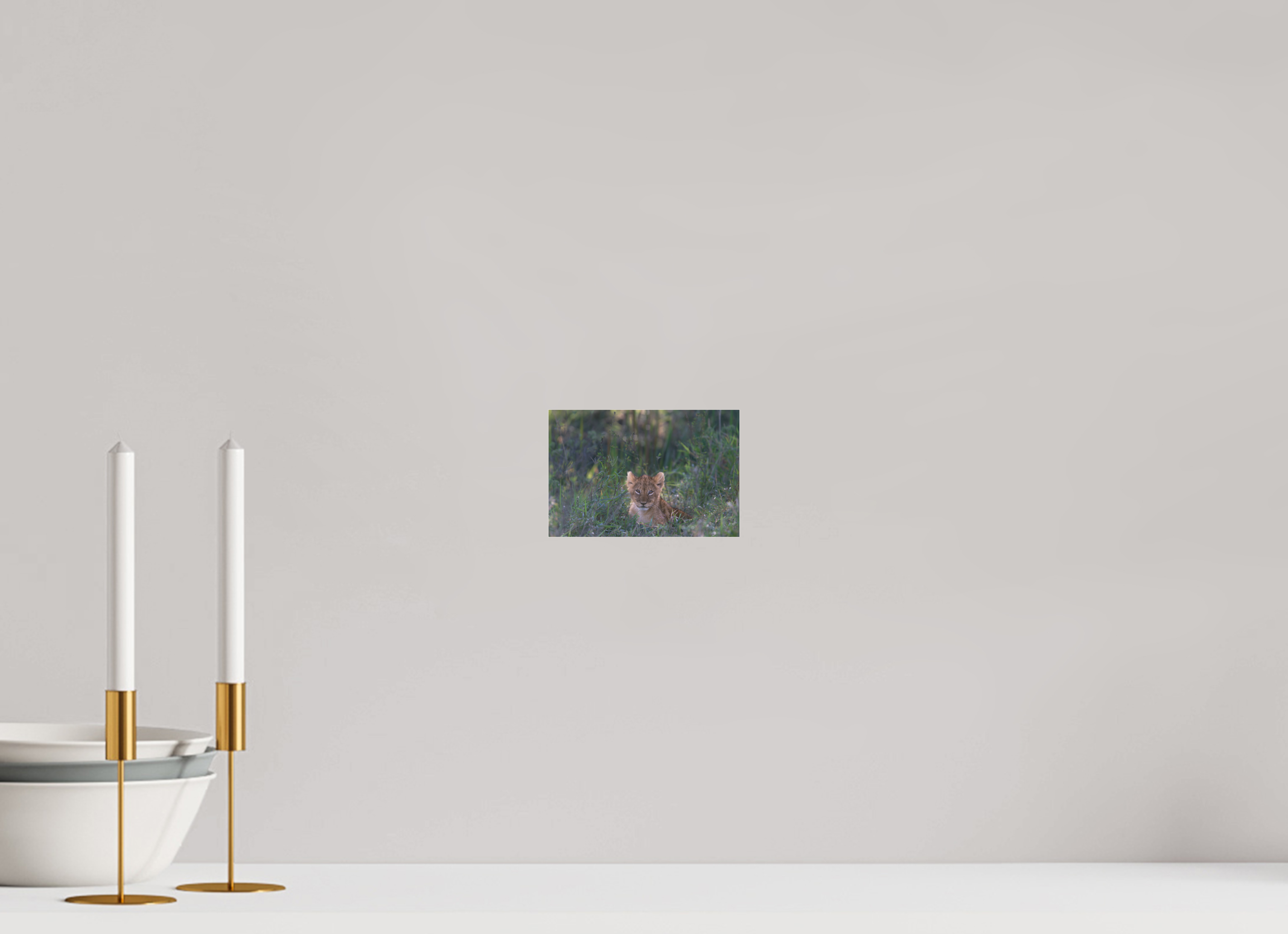 15 x 10 cm, Photo Print Under Acrylic Glass Lionb cub (no frame)