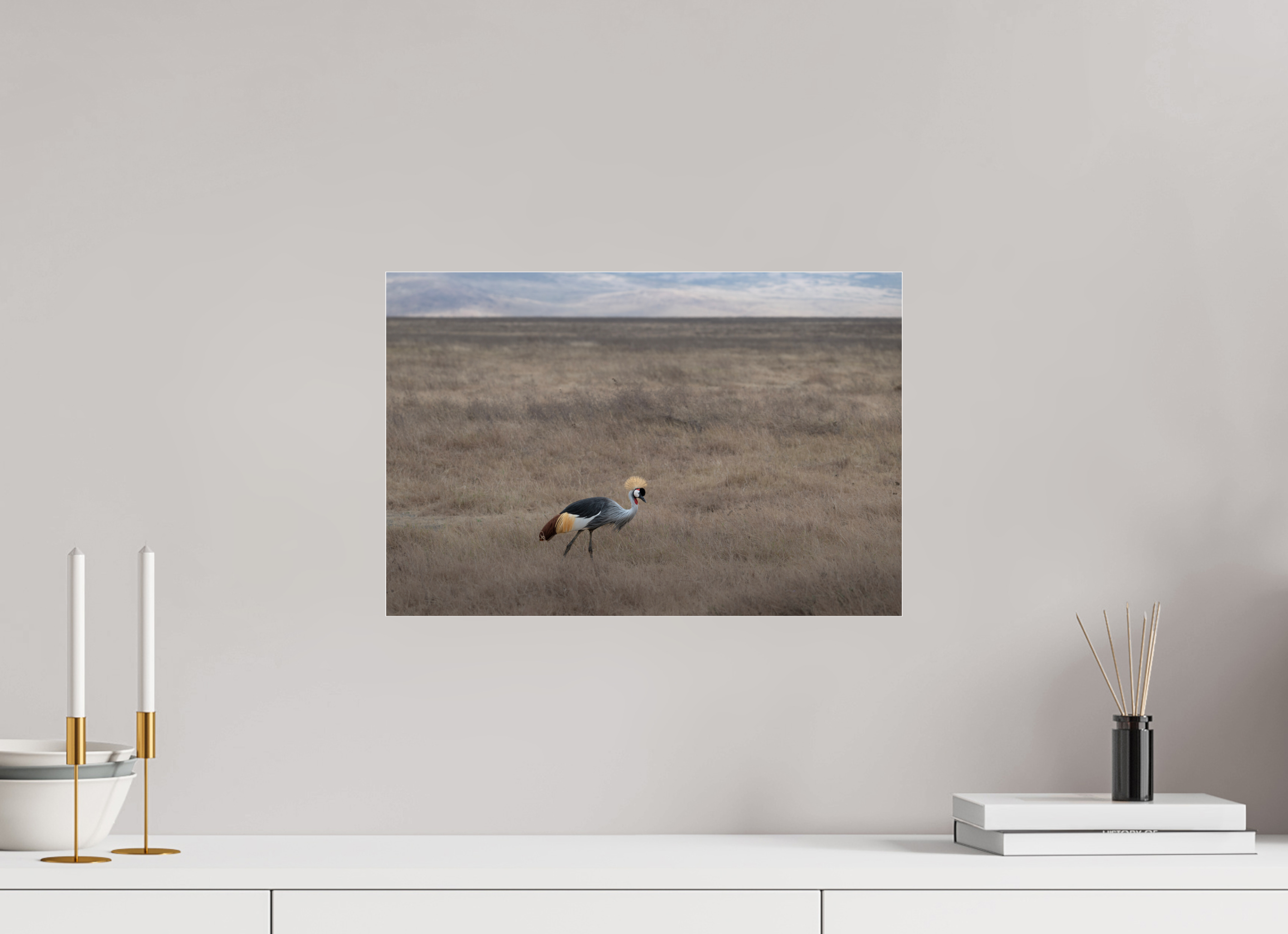 45 x 30 cm, Photo Print Under Acrylic Glass Grey Crowned Crane