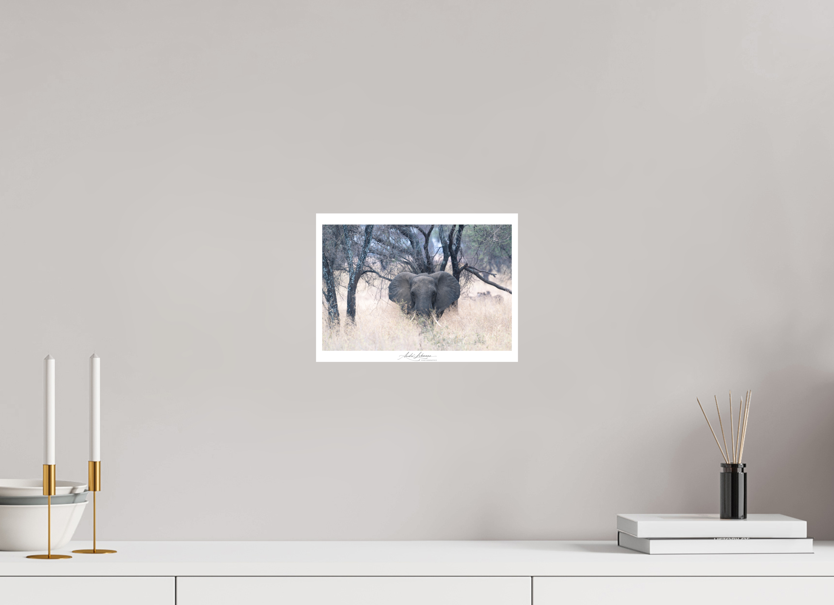 27.2 x 20 cm, Foto-Druck auf Alu-Dibond African Elephant