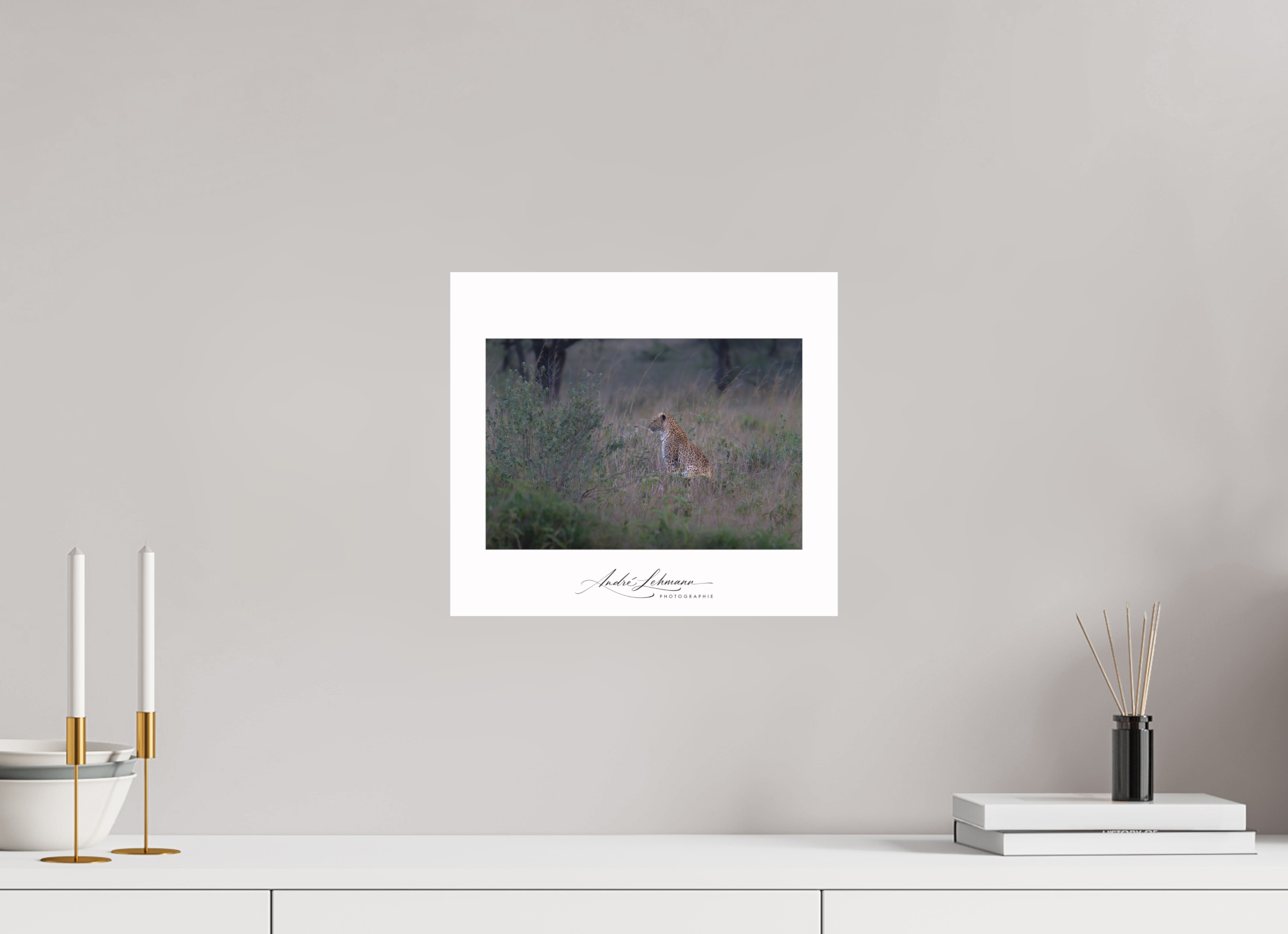 33.8 x 30 cm, Foto-Druck auf Alu-Dibond Leopard in high grass