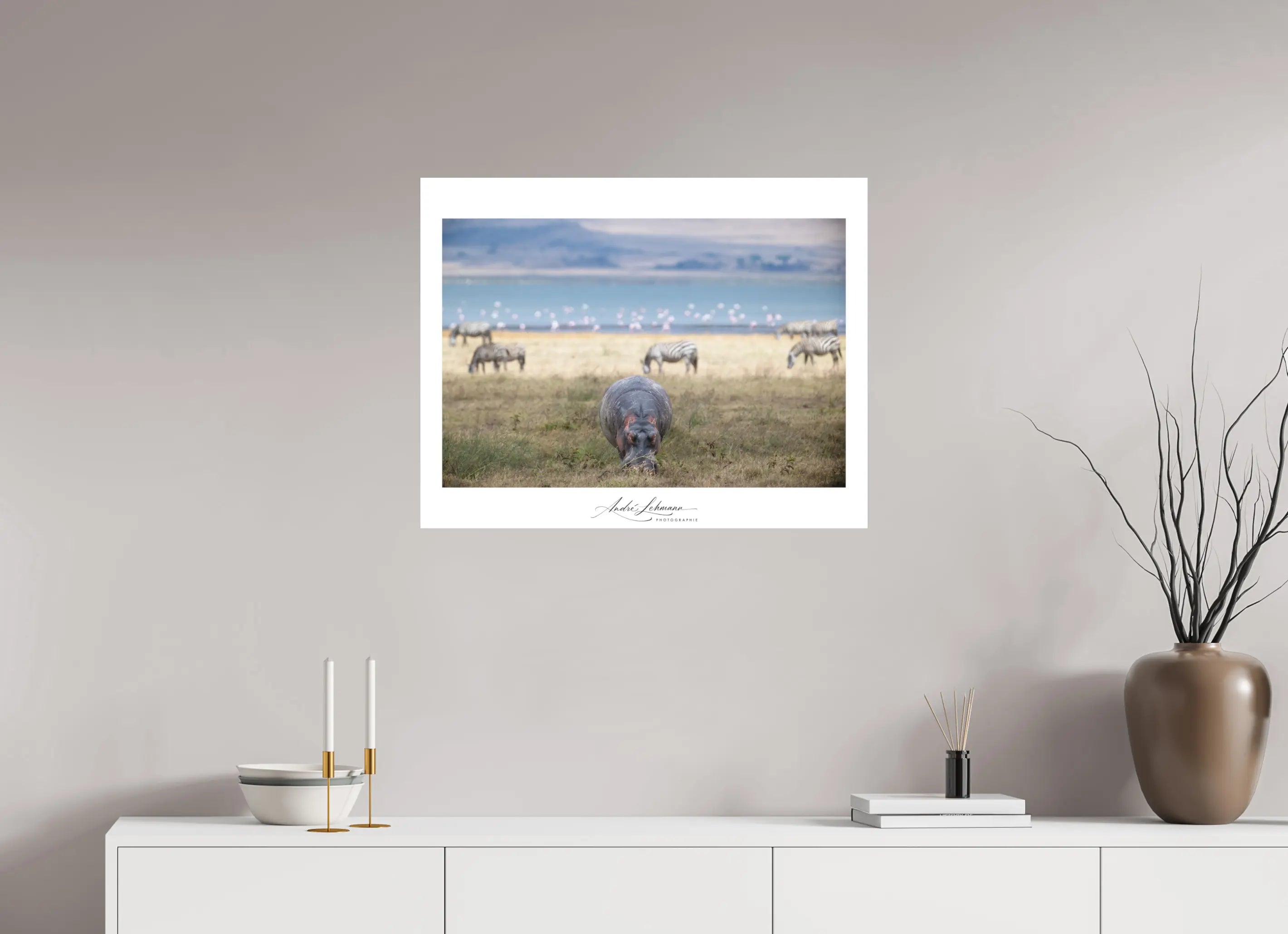 76.5 x 60 cm, Foto-Druck auf Alu-Dibond Hippo granzing (Alu dibond)