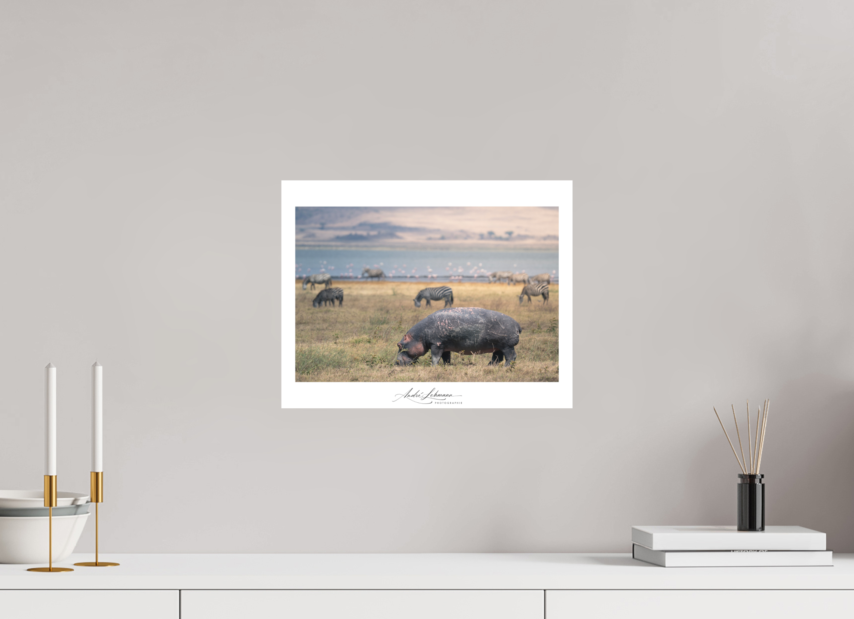 38.3 x 30 cm, Foto-Druck auf Alu-Dibond Hippo out of the water (Alu dibond)