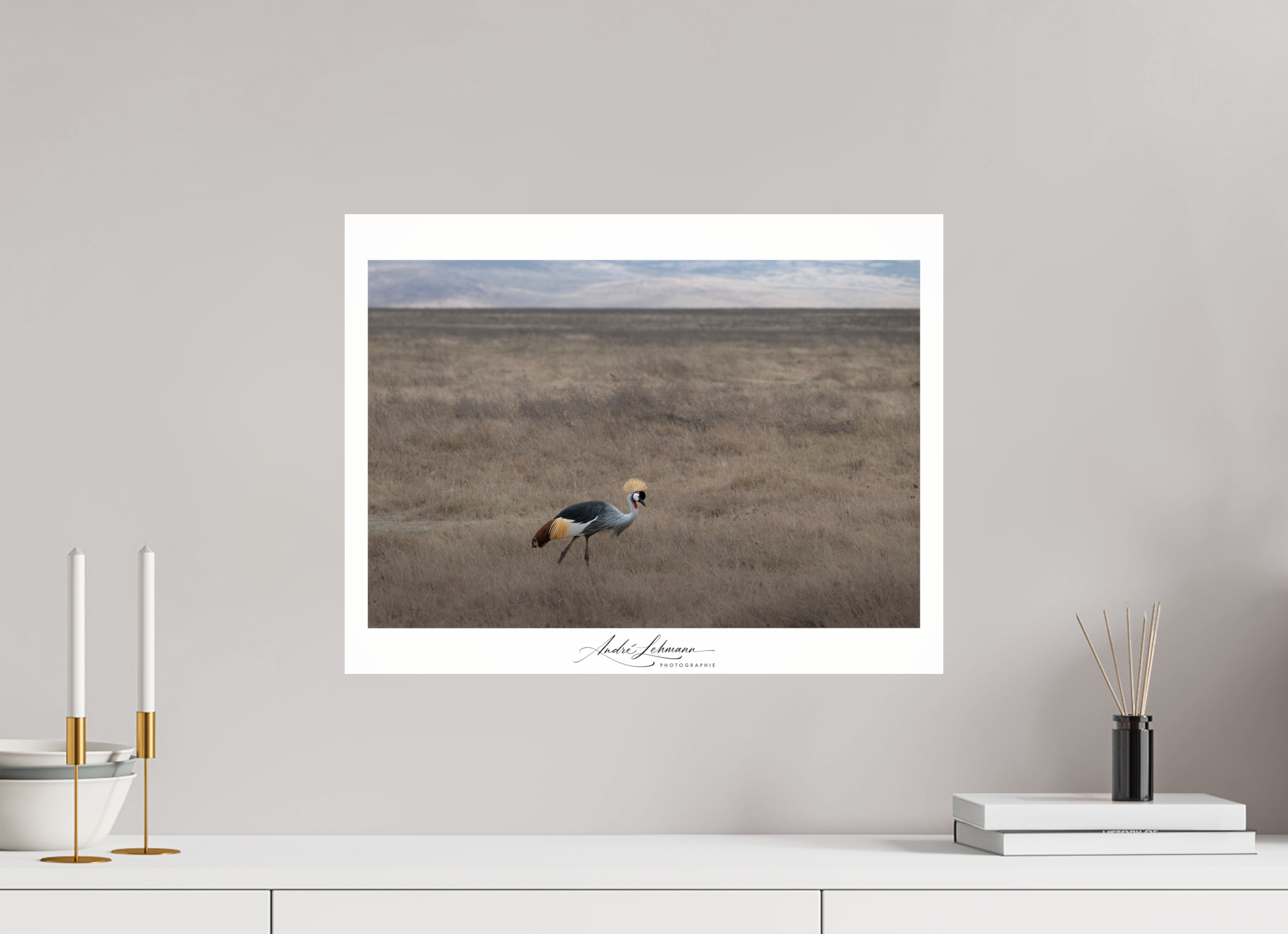 52.1 x 40 cm, Photo Print Under Acrylic Glass Grey Crowned Crane