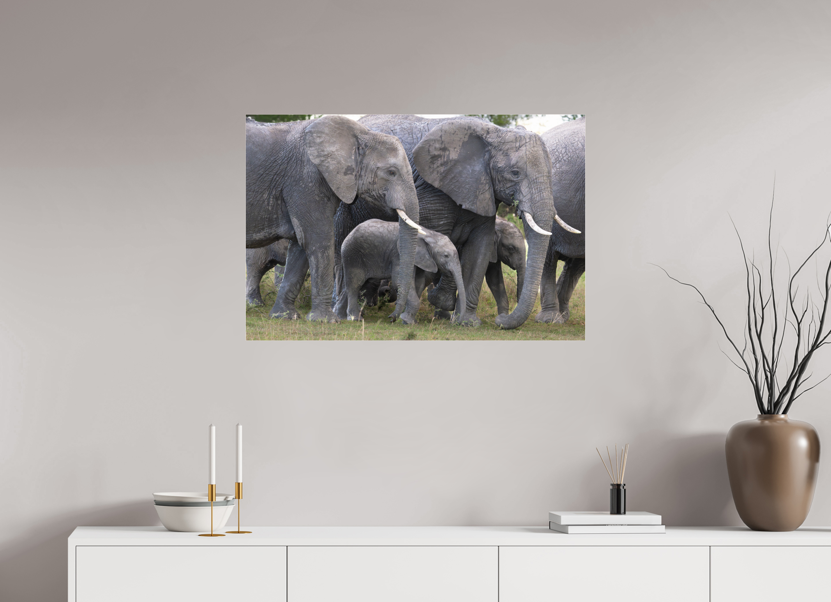 90 x 60 cm, Photo Print Under Acrylic Glass Elephant calf