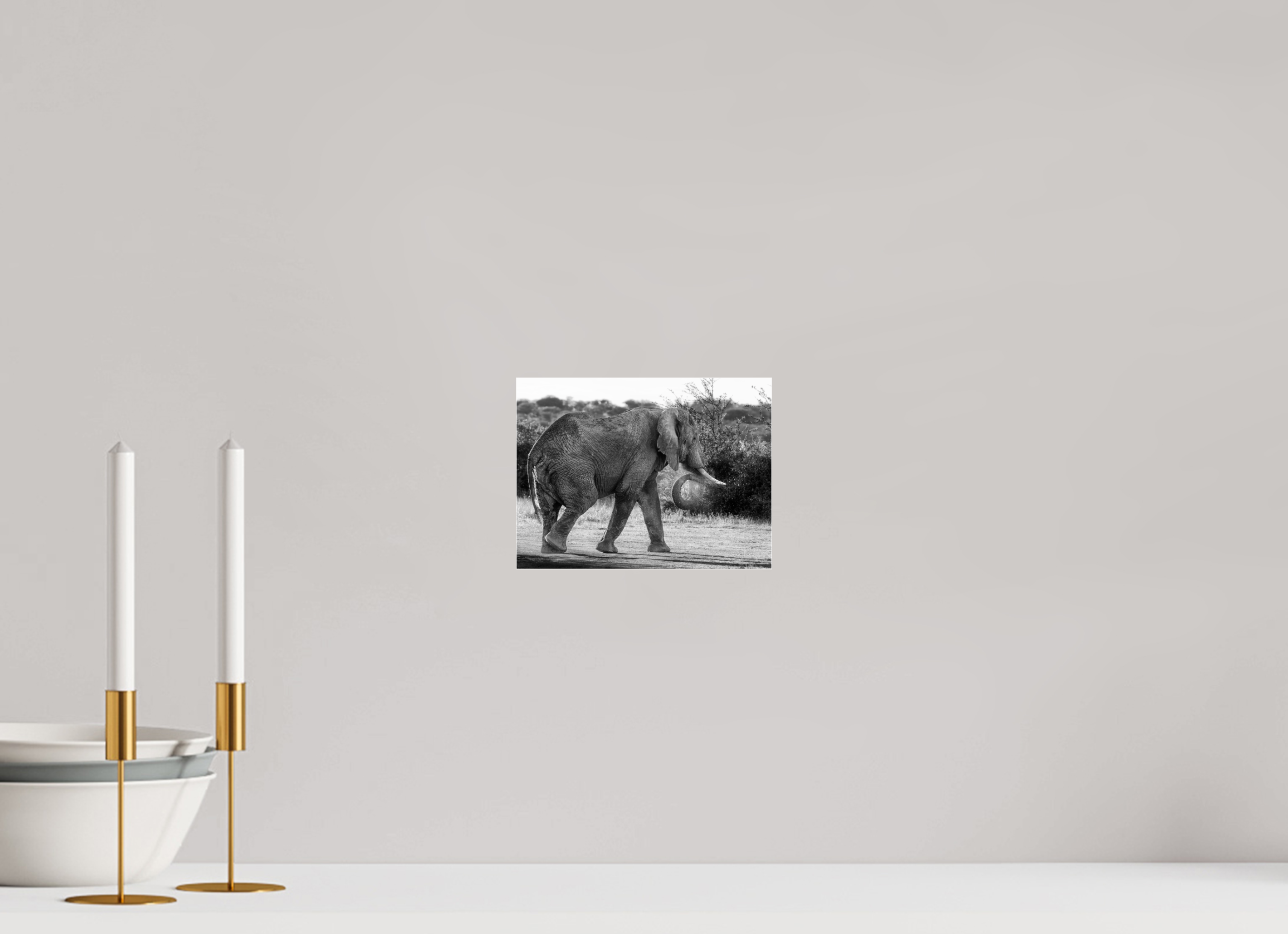 20 x 15 cm, Photo Print Under Acrylic Glass Elephant black and white (no frame)