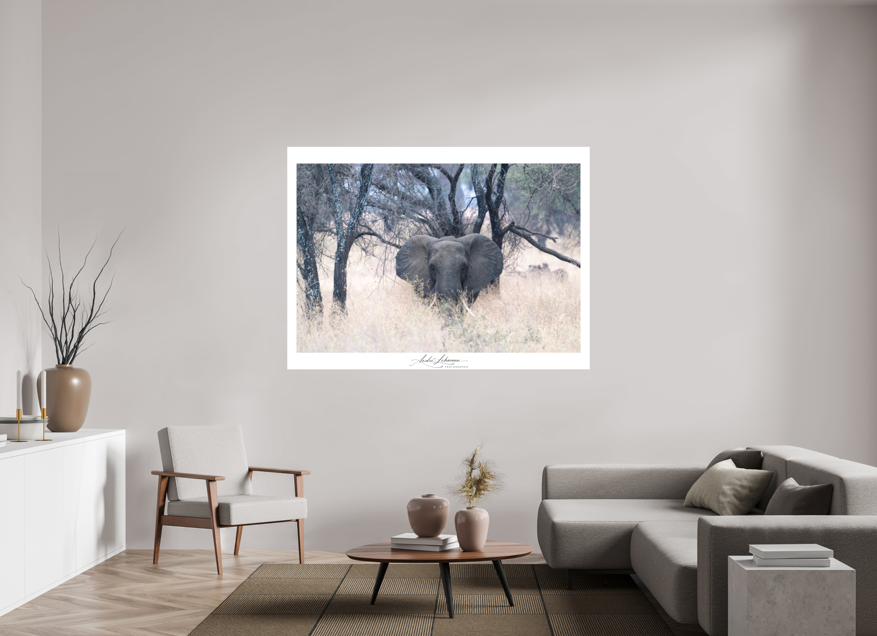 176.7 x 130 cm, Foto-Druck auf Alu-Dibond African Elephant