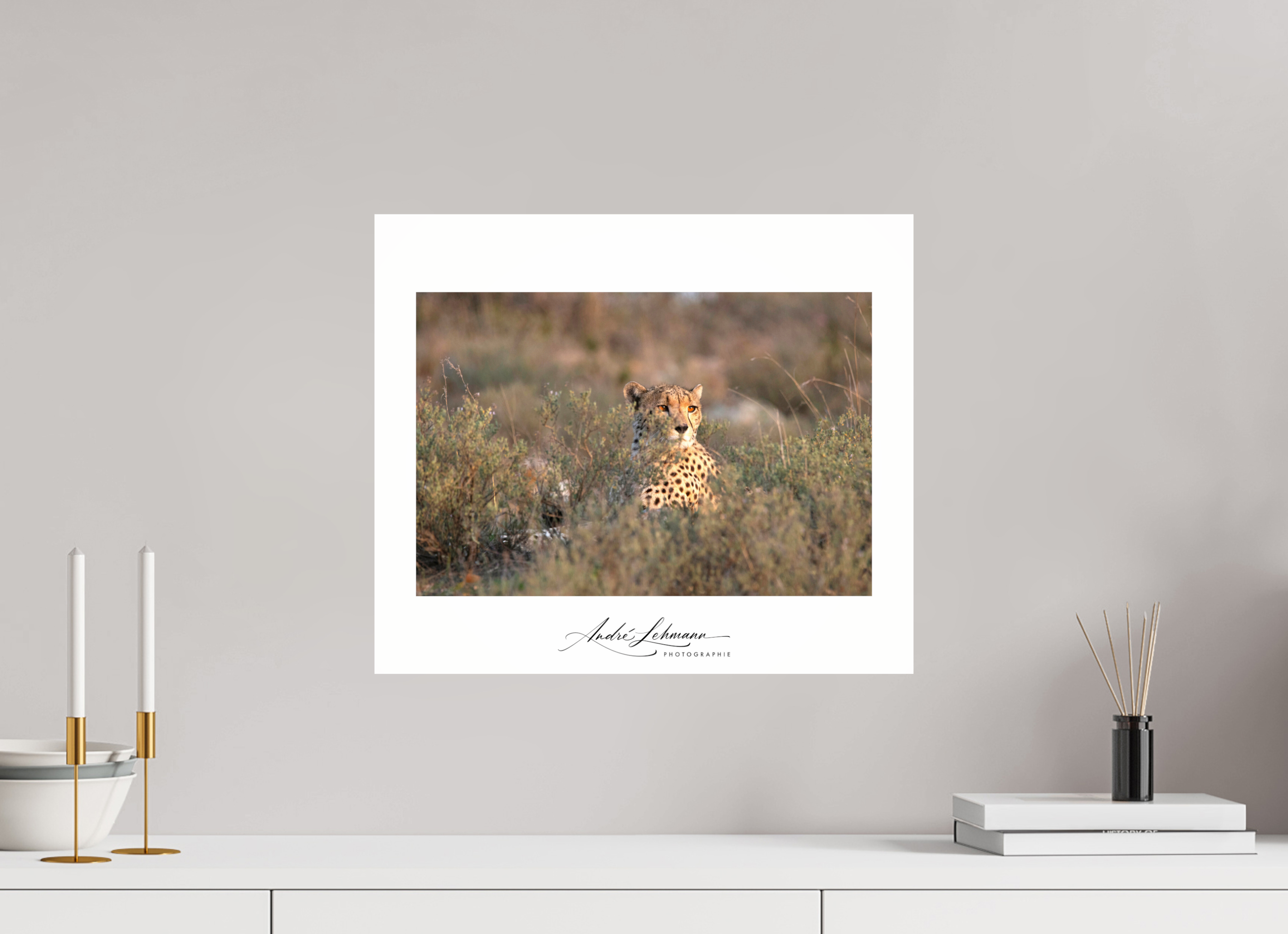 46.9 x 40 cm, Photo Print Under Acrylic Glass Cheetah in the grass