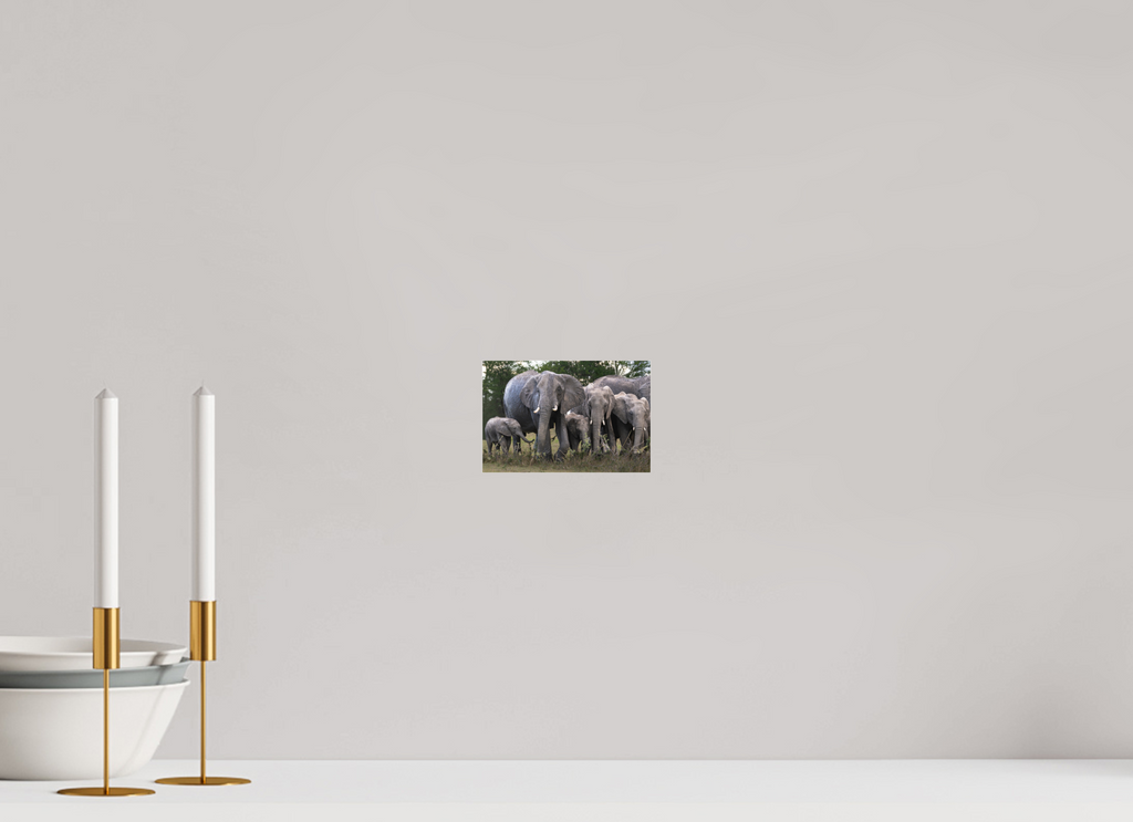 15 x 10 cm, Photo Print Under Acrylic Glass Happy Elephant family (no frame)
