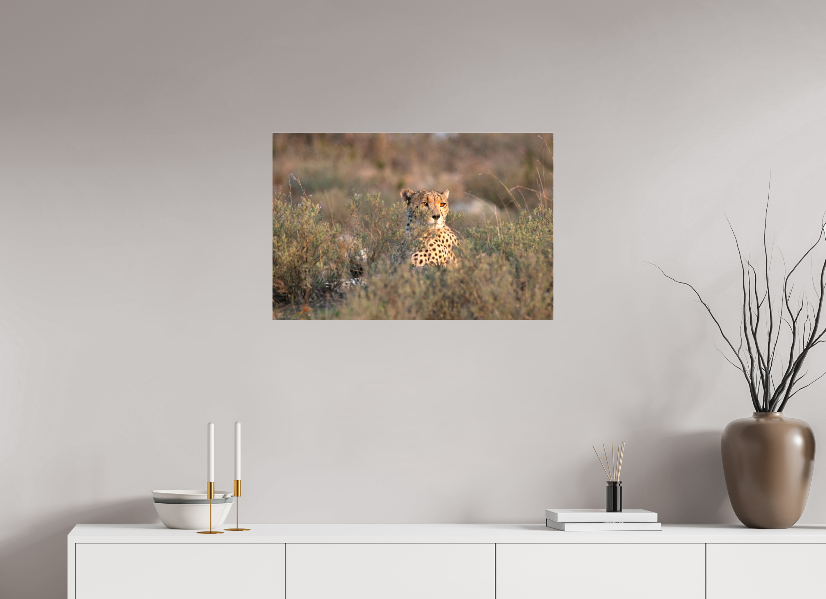 75 x 50 cm, Photo Print Under Acrylic Glass Cheetah in the grass (no frame)