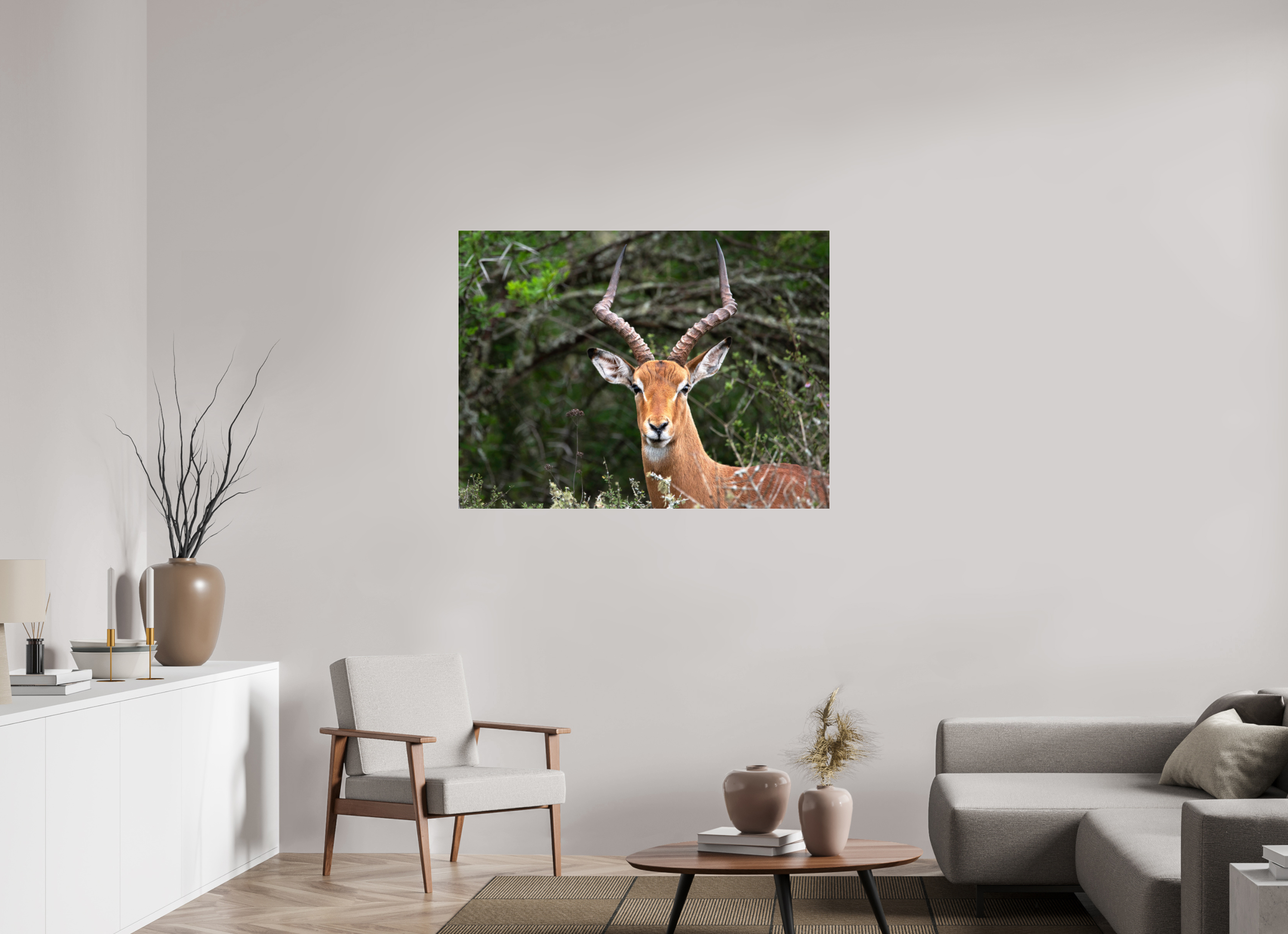 120 x 90 cm, Photo Print Under Acrylic Glass Impala (mo Frame)