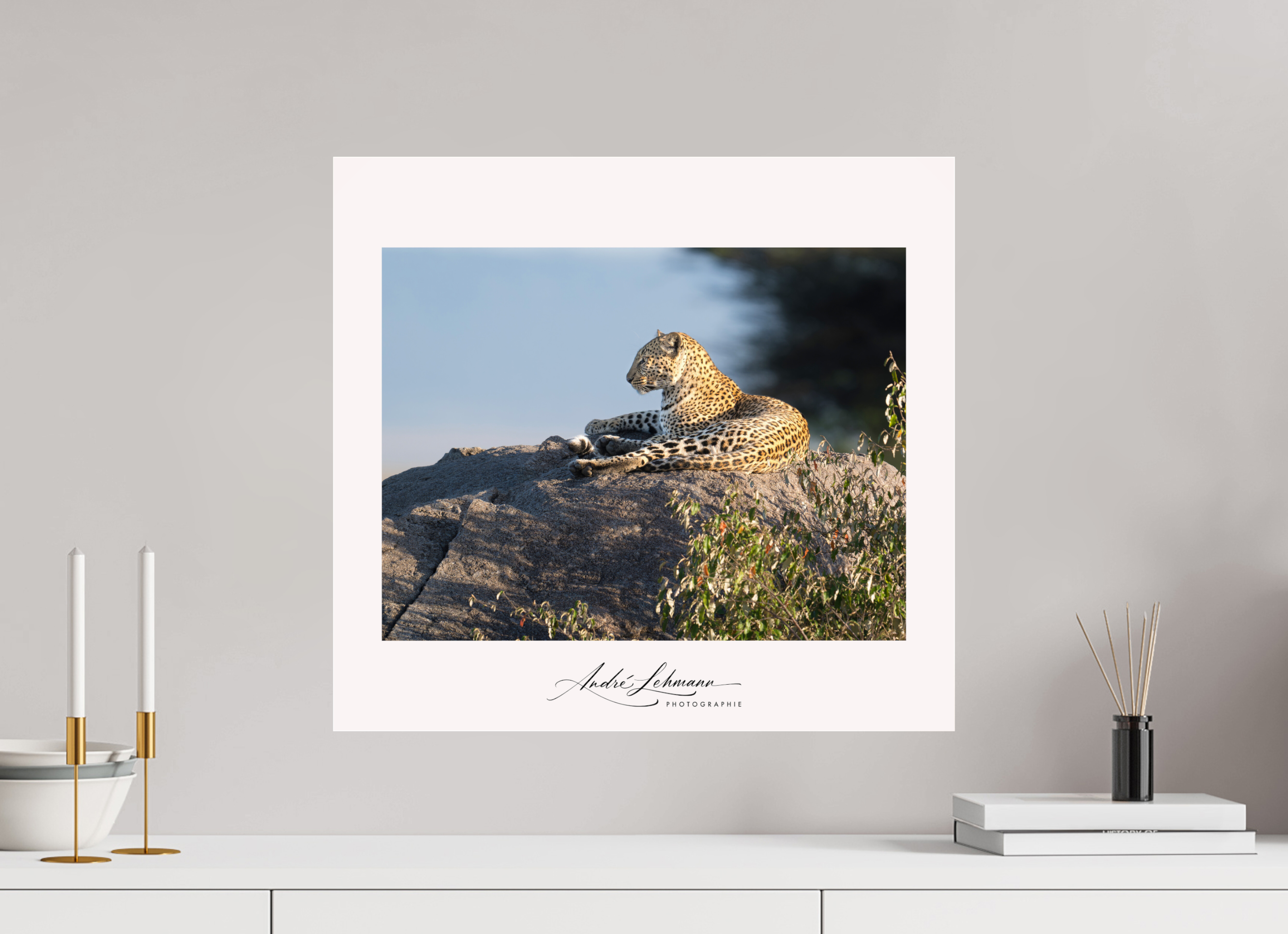 54.1 x 50 cm, Photo Print Under Acrylic Glass Leopard scanning the horizon