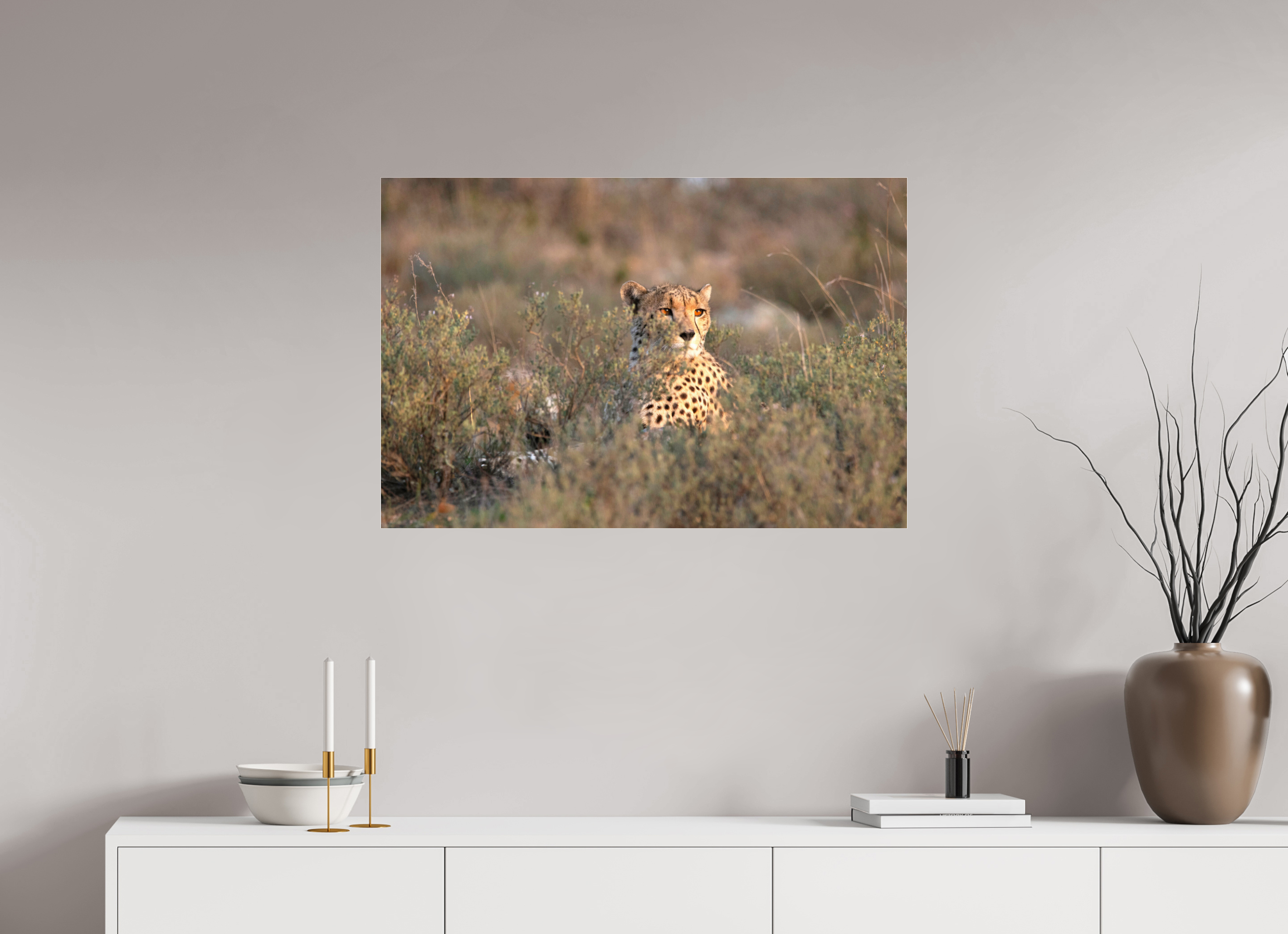 90 x 60 cm, Photo Print Under Acrylic Glass Cheetah in the grass (no frame)
