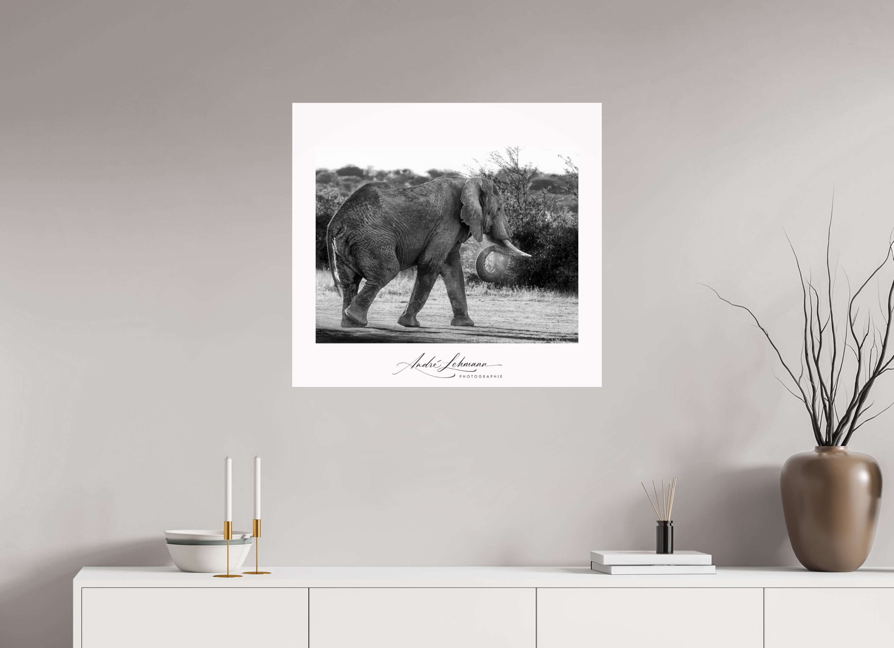 76.2 x 70 cm, Photo Print Under Acrylic Glass Elephant black and white