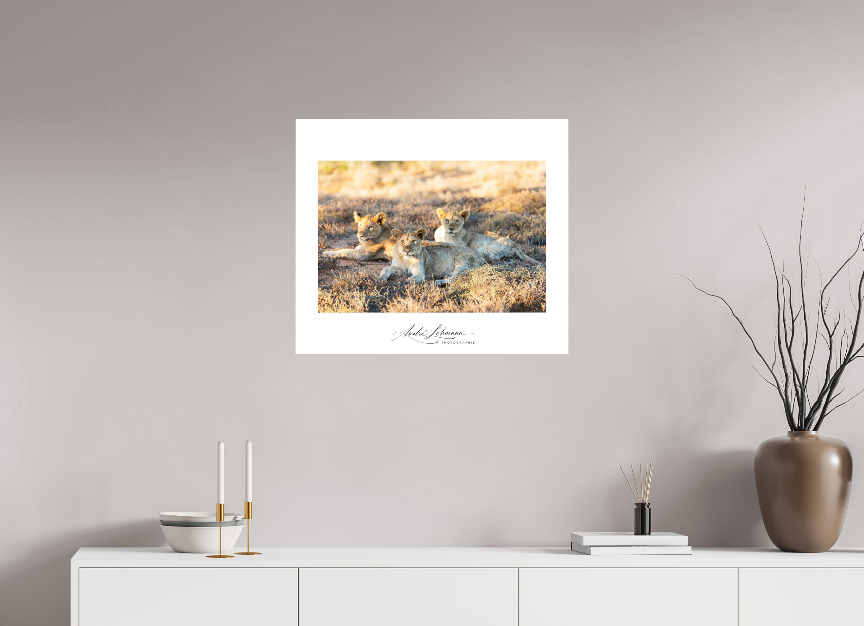69.5 x 60 cm, Photo Print Under Acrylic Glass Lion Cubs