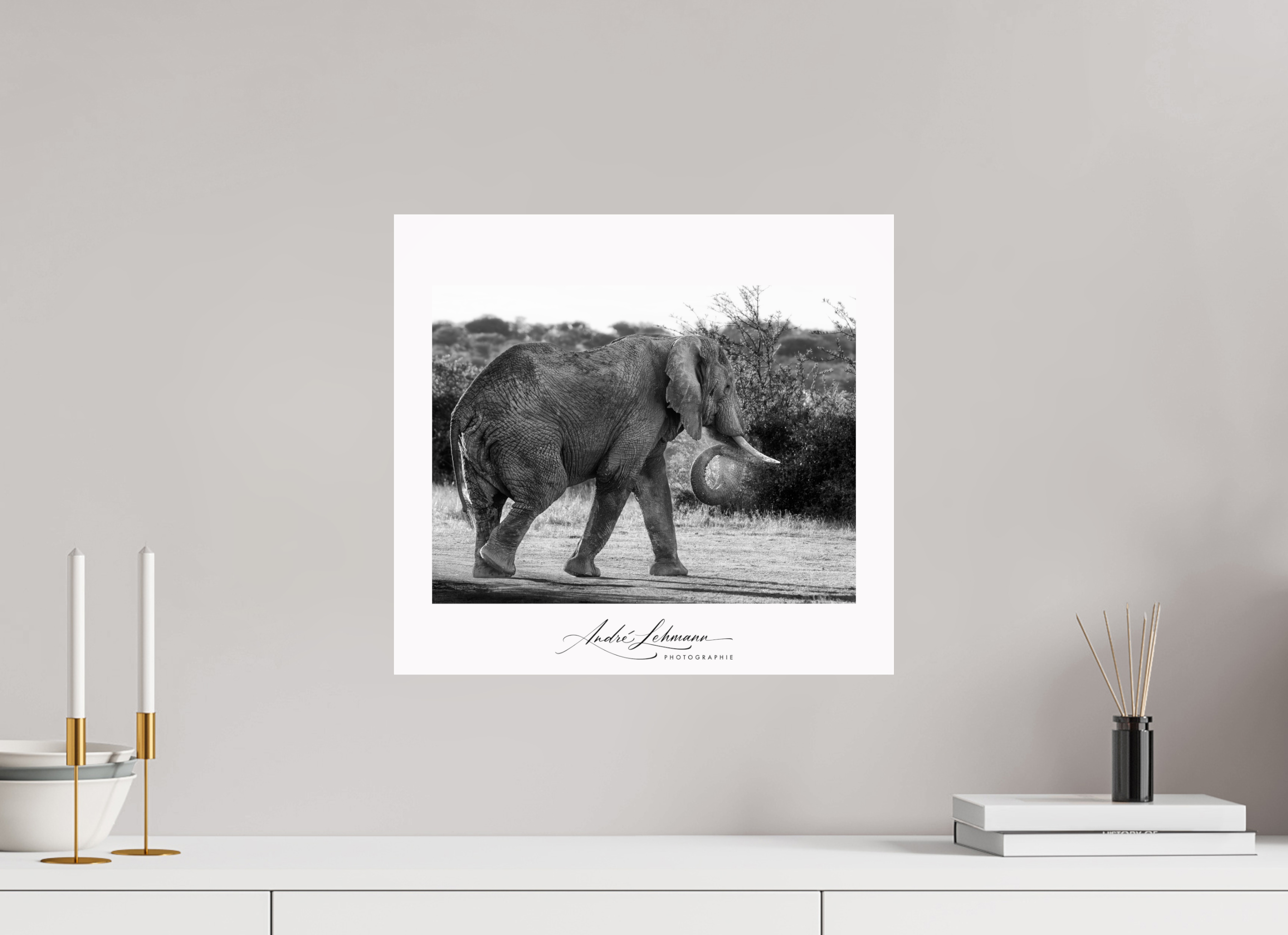 43.5 x 40 cm, Photo Print Under Acrylic Glass Elephant black and white