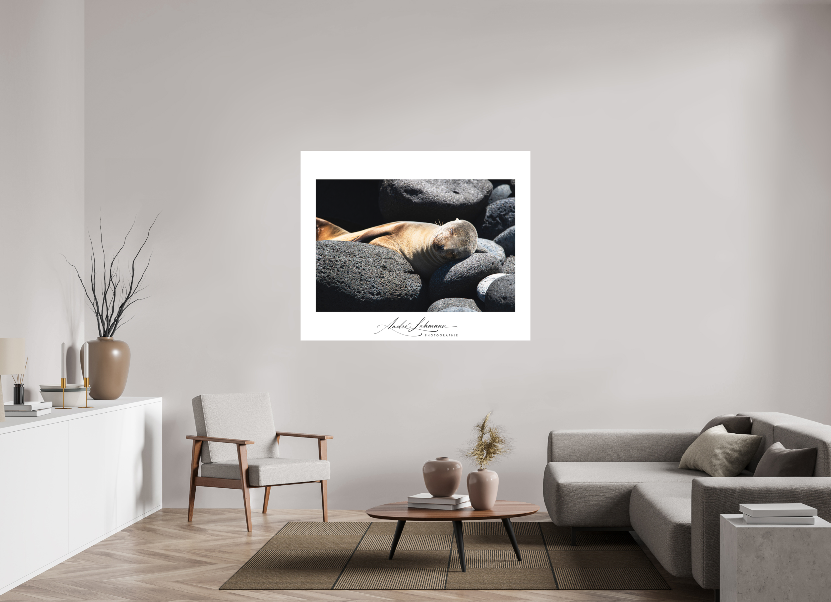 145.3 x 120 cm, Foto-Druck auf Alu-Dibond Galapagos Sea Lion