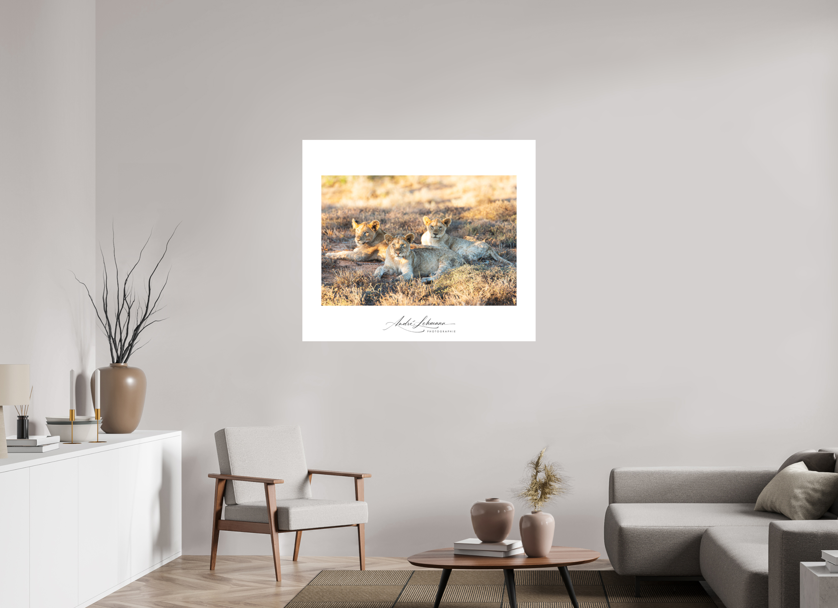 115.9 x 100 cm, Foto-Druck auf Alu-Dibond Lion Cubs (Alu Dibond)