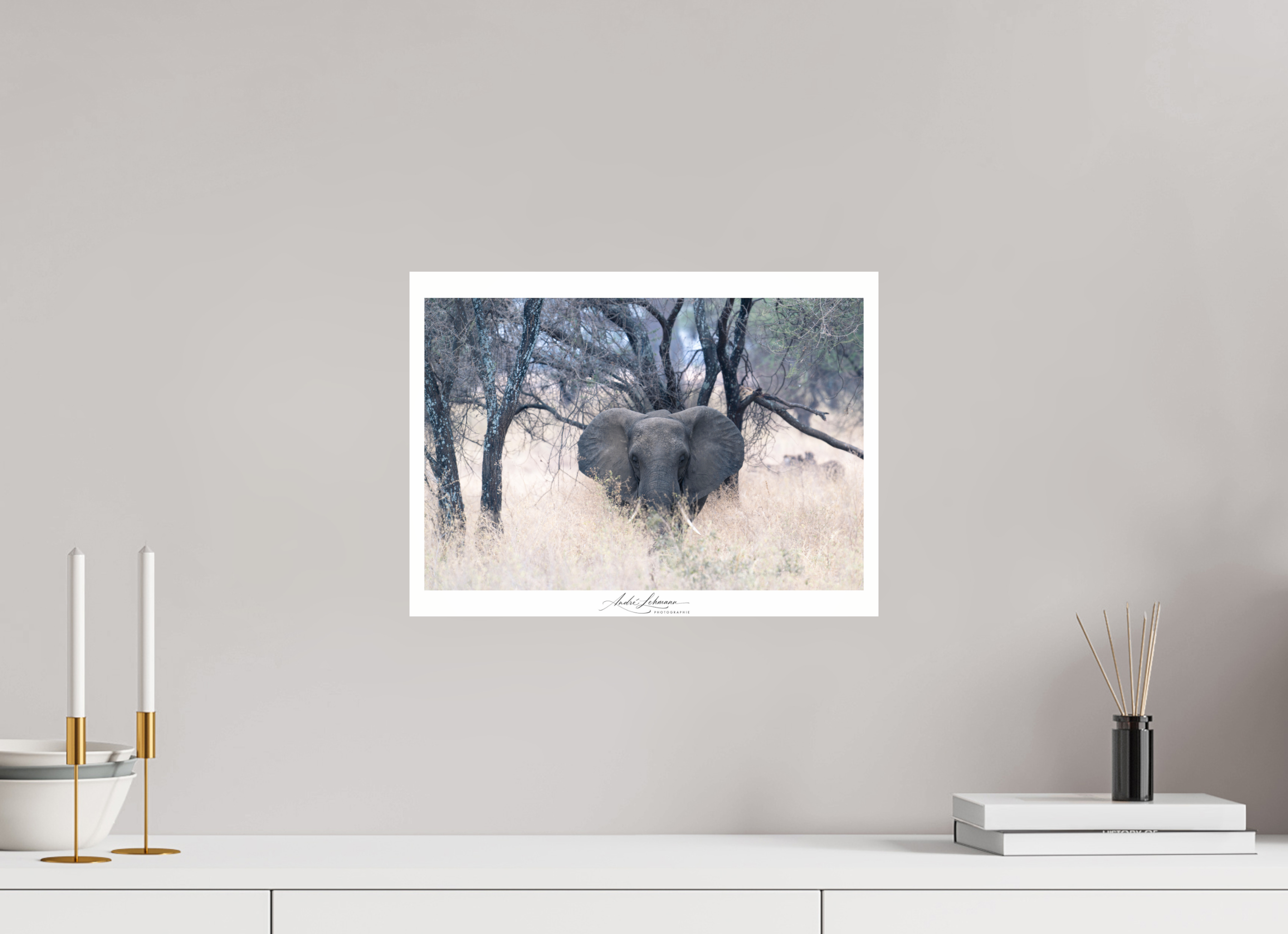 40.8 x 30 cm, Photo Print Under Acrylic Glass Elephant in the Savanna