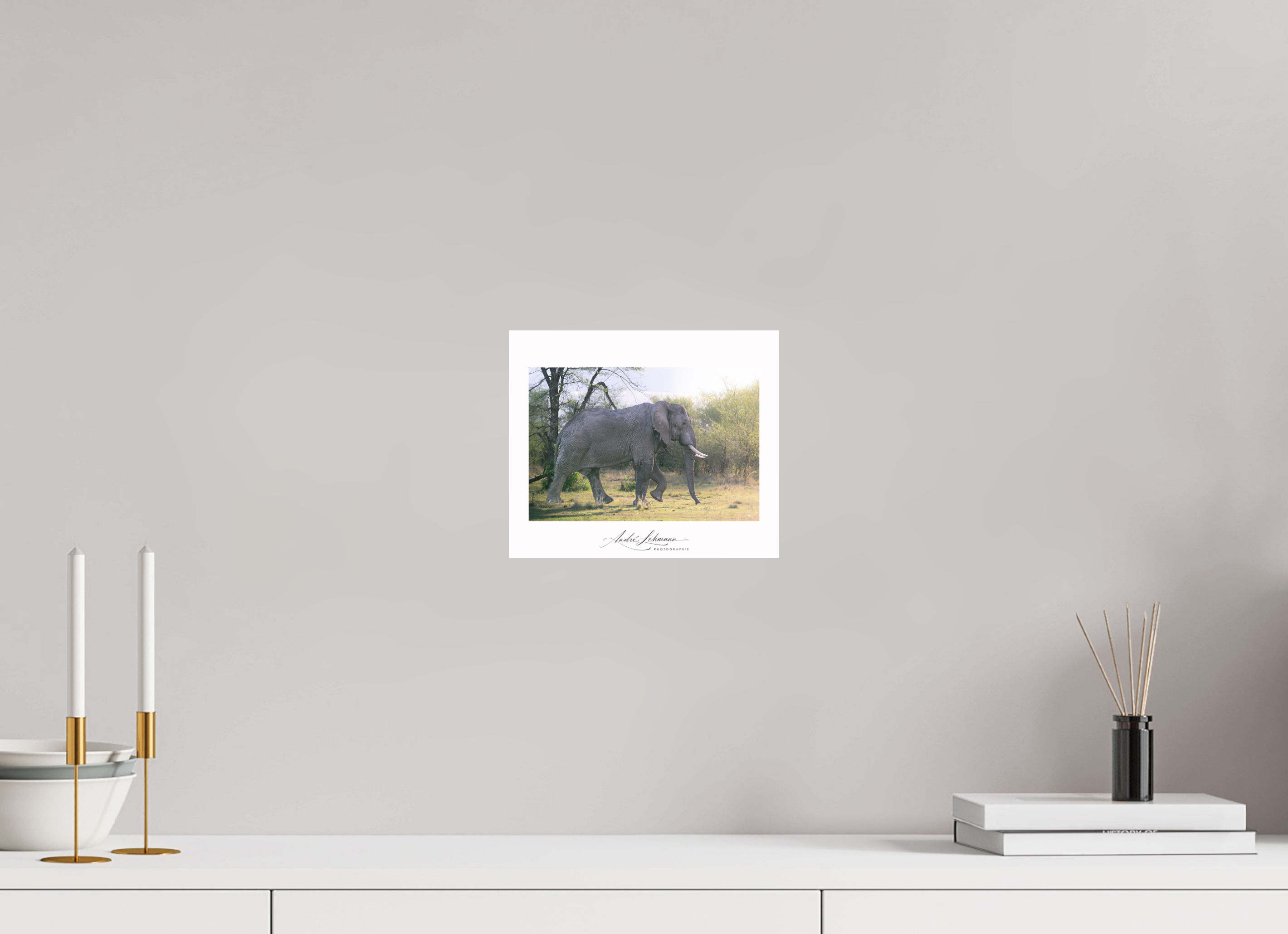23.7 x 20 cm, Foto-Druck auf Alu-Dibond Giant walking
