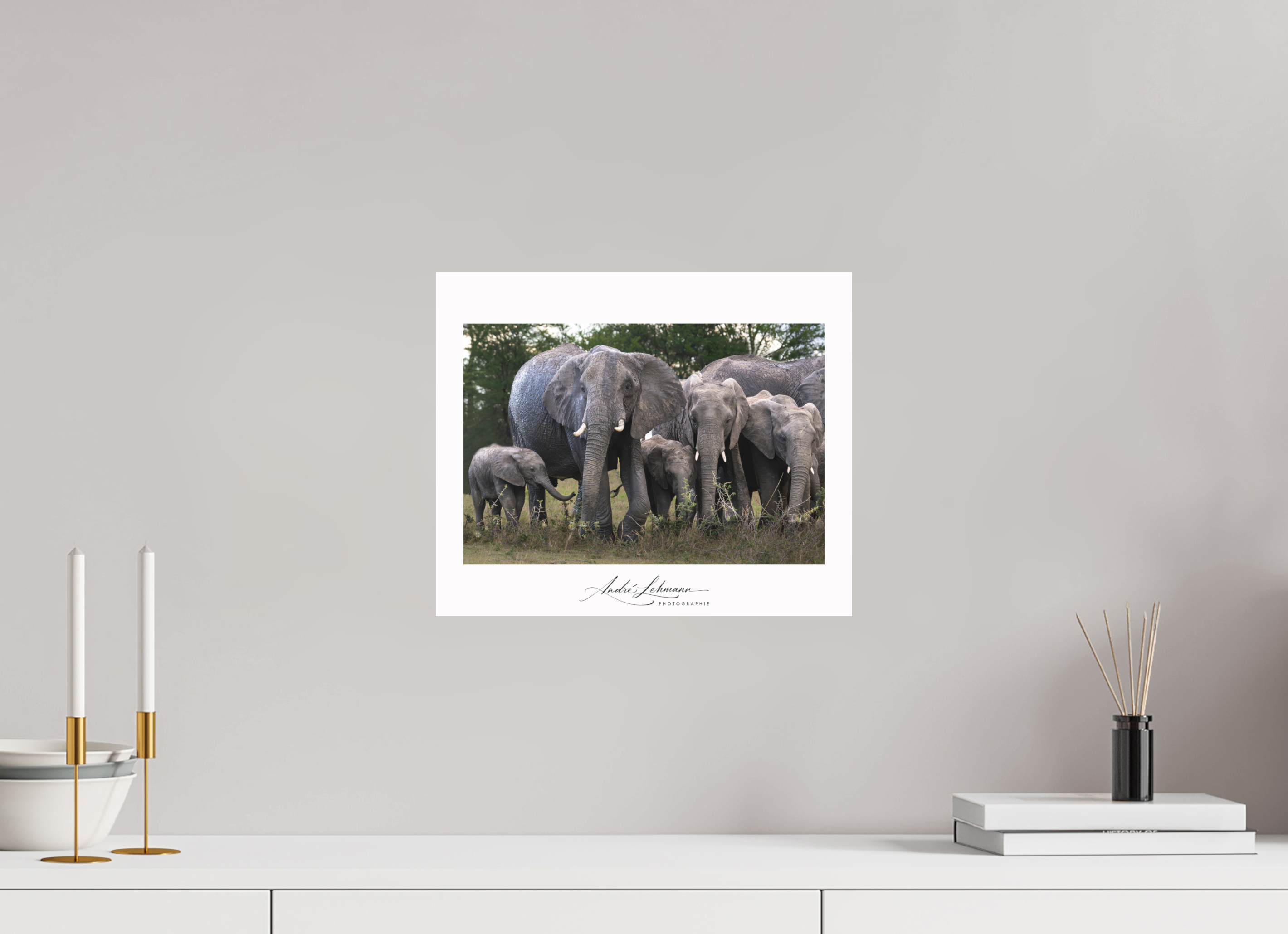 36.3 x 30 cm, Foto-Druck auf Alu-Dibond Happy Elephant family (Alu dibond)