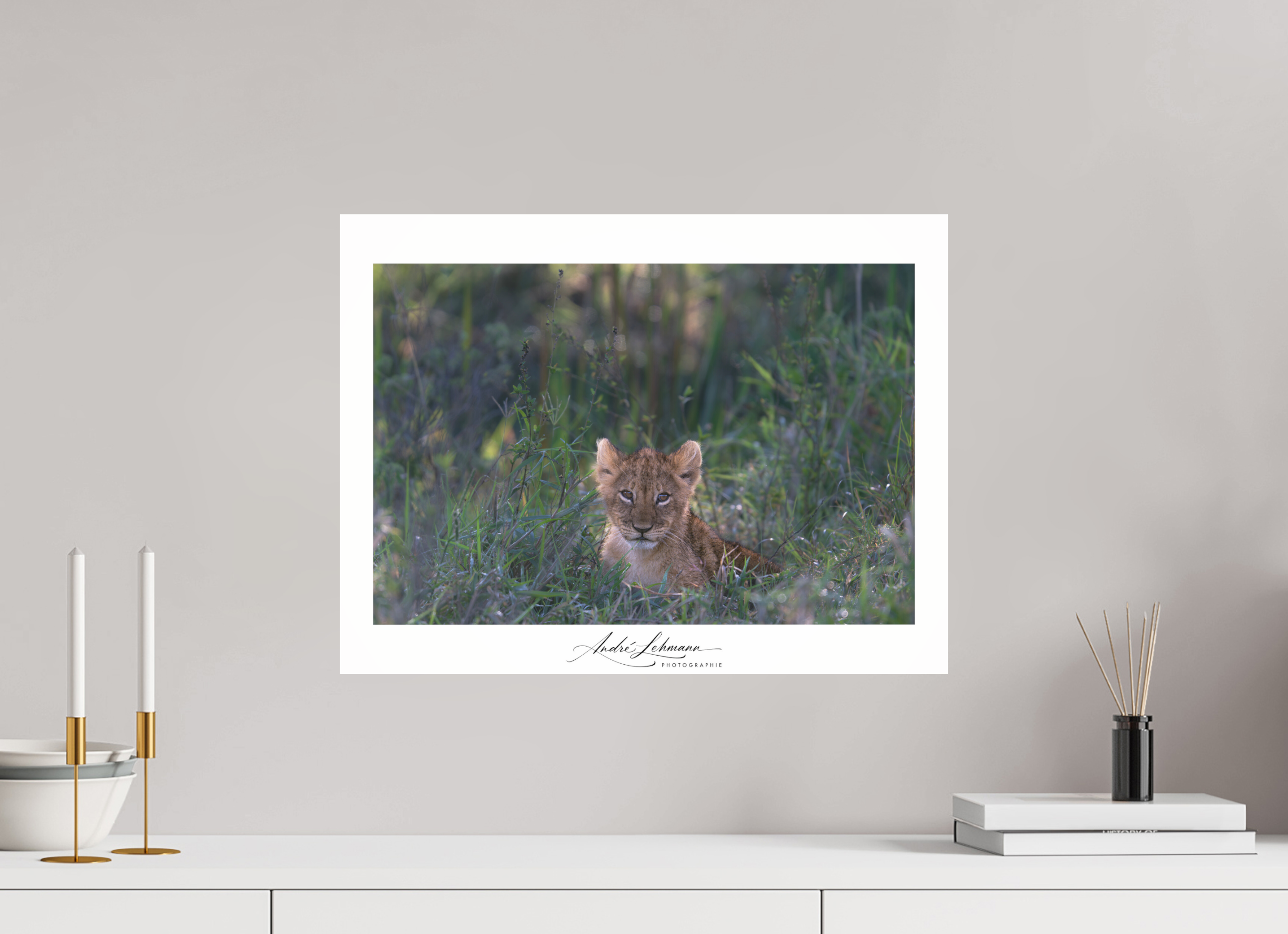 52.9 x 40 cm, Photo Print Under Acrylic Glass Lion cub