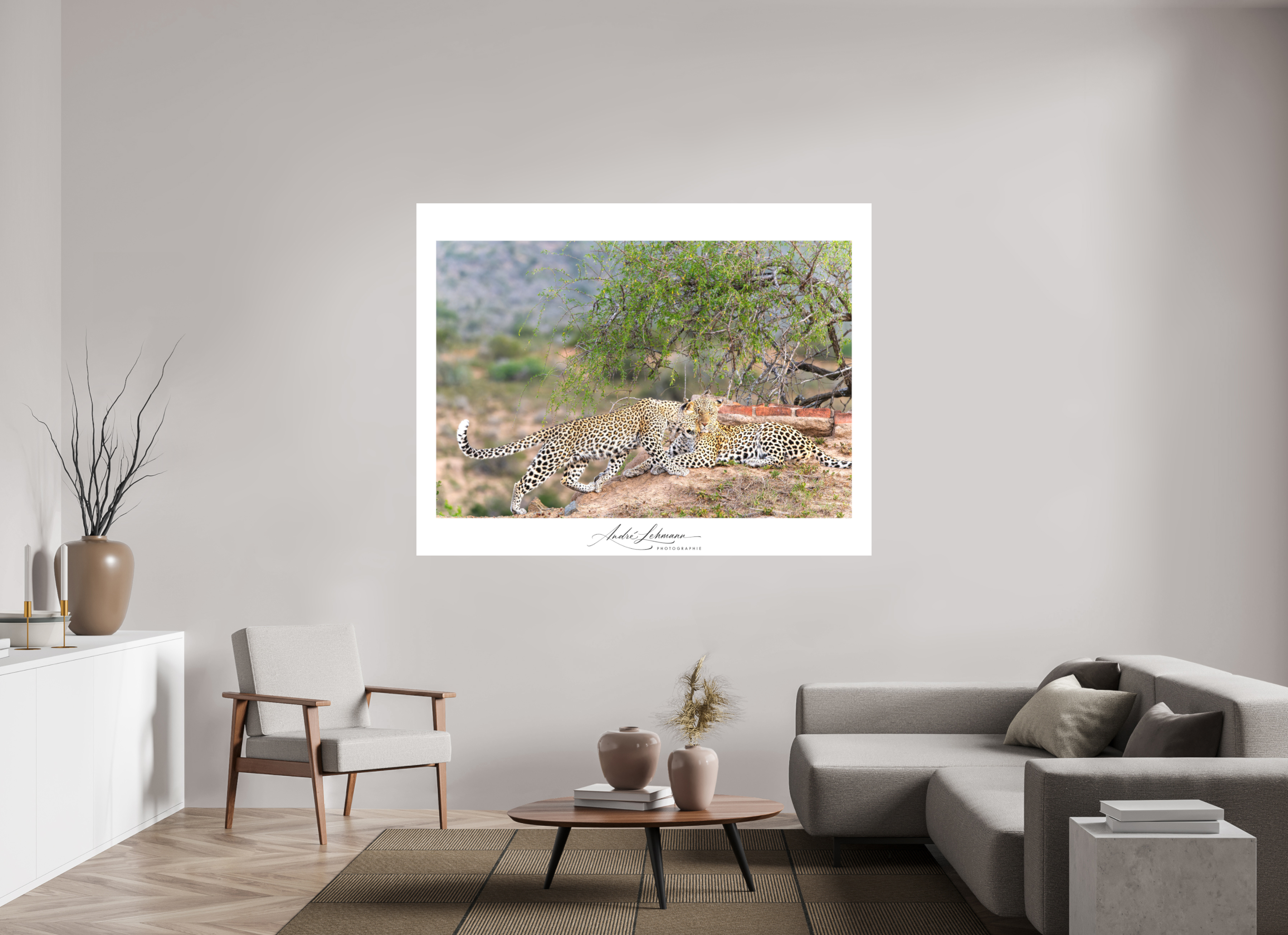 181 x 140 cm, Foto-Druck auf Alu-Dibond Two Leopards (Alu Dibond)