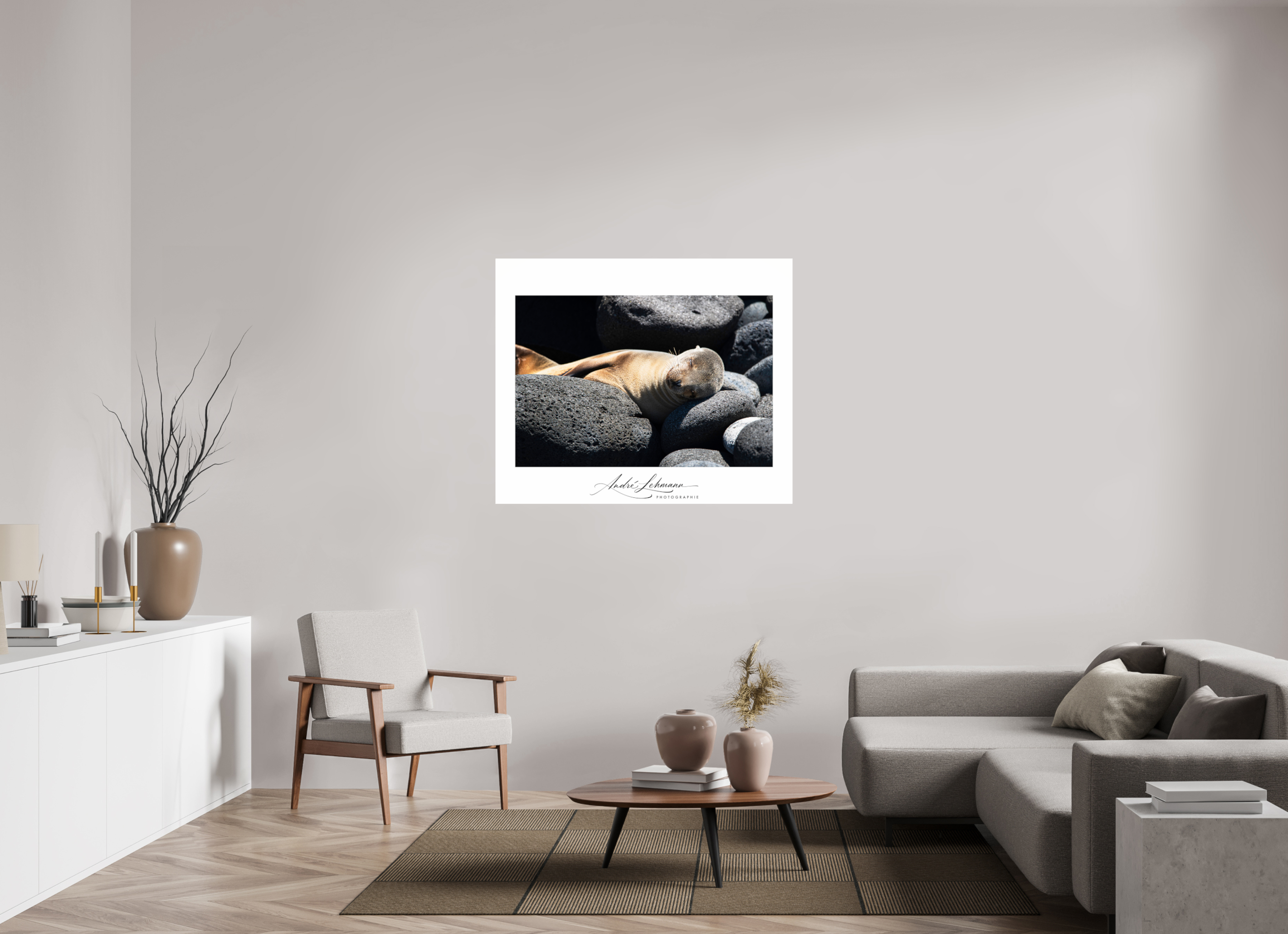 121.1 x 100 cm, Photo Print Under Acrylic Glass Galapagos sea lion
