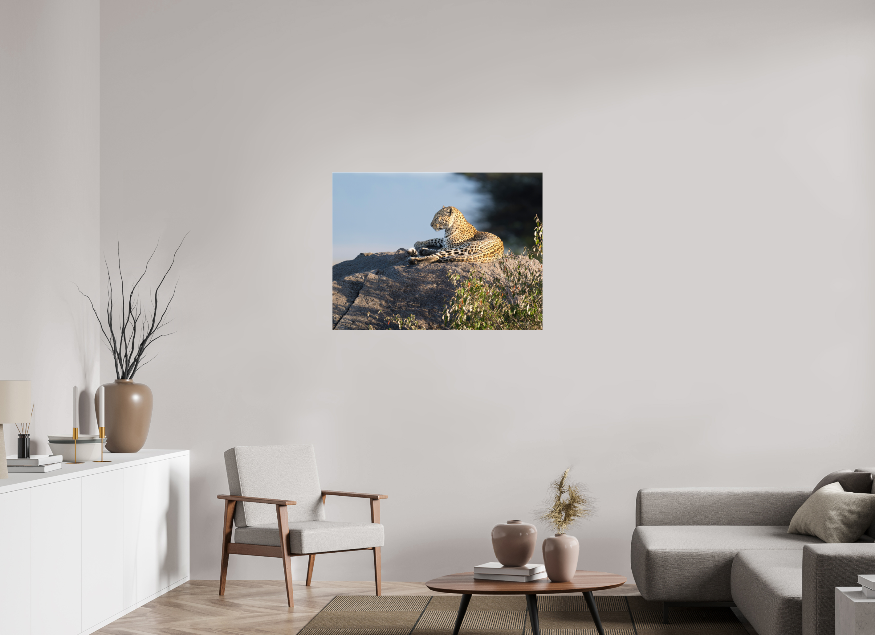 100 x 75 cm, Photo Print Under Acrylic Glass Leopard scanning the horizon