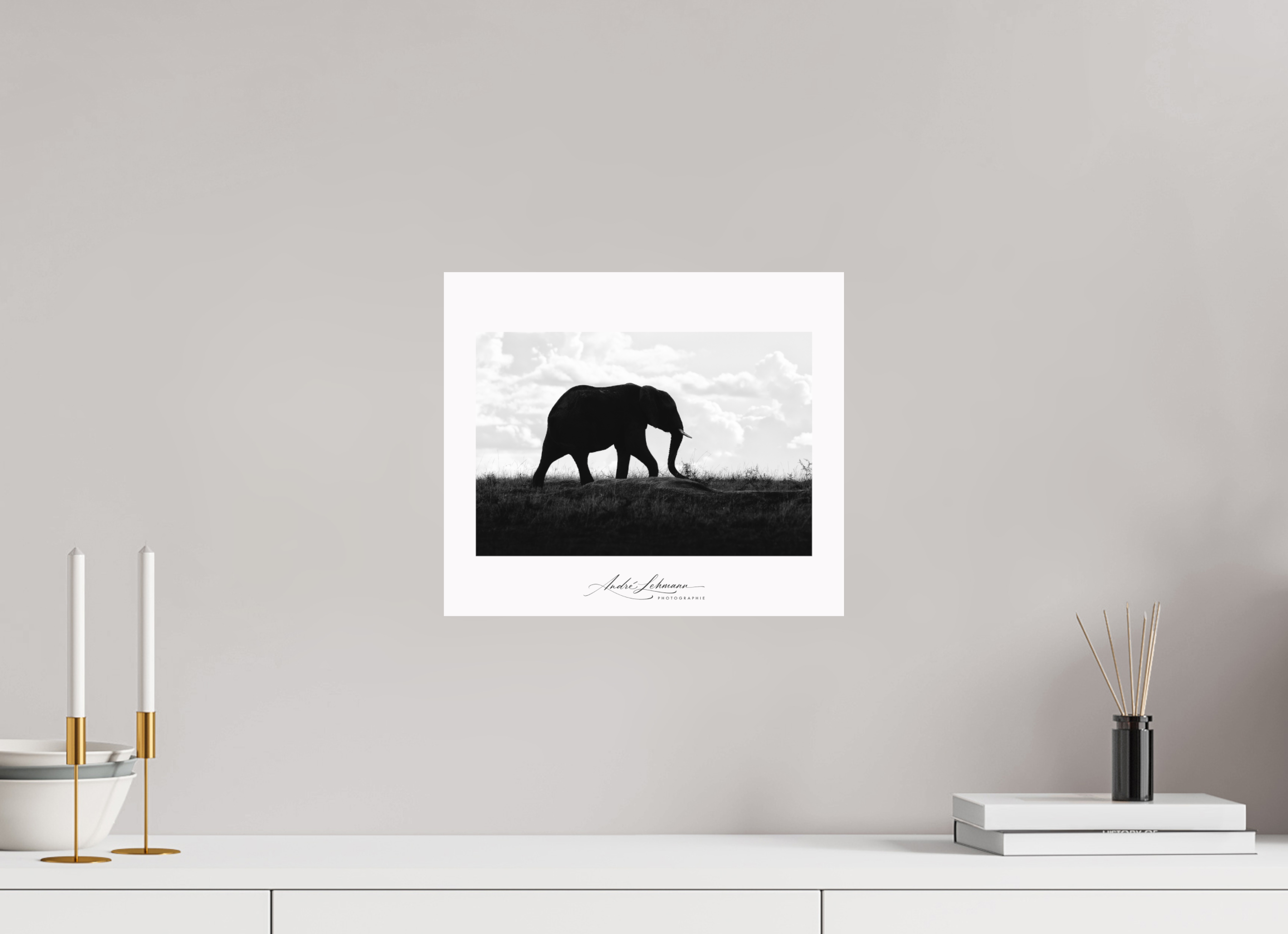34.9 x 30 cm, Foto-Druck auf Alu-Dibond Elephant strolling
