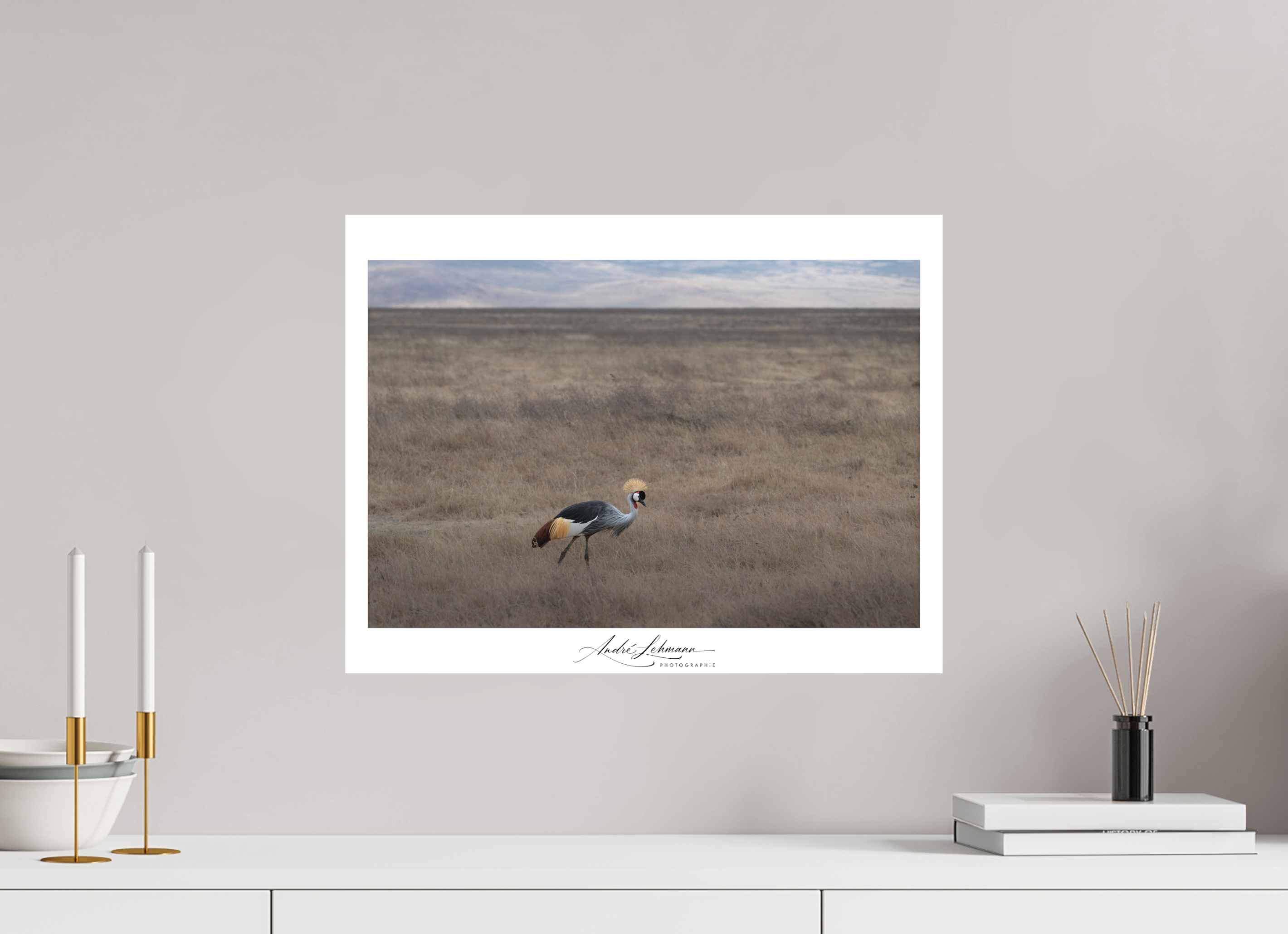 52.1 x 40 cm, Foto-Druck auf Alu-Dibond Grey crowned Crane (Alu Dibond)