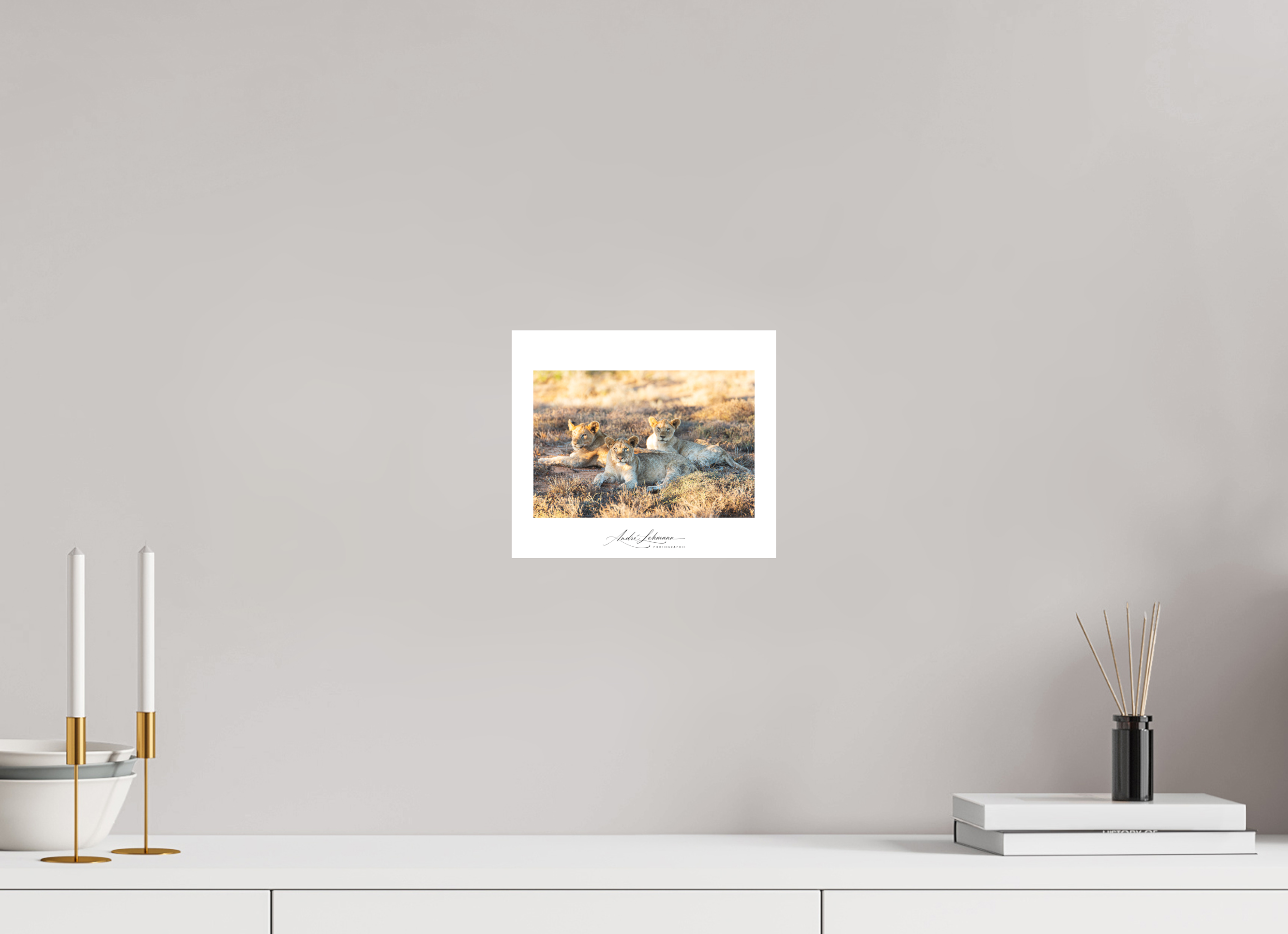 23.2 x 20 cm, Foto-Druck auf Alu-Dibond Lion Cubs (Alu Dibond)