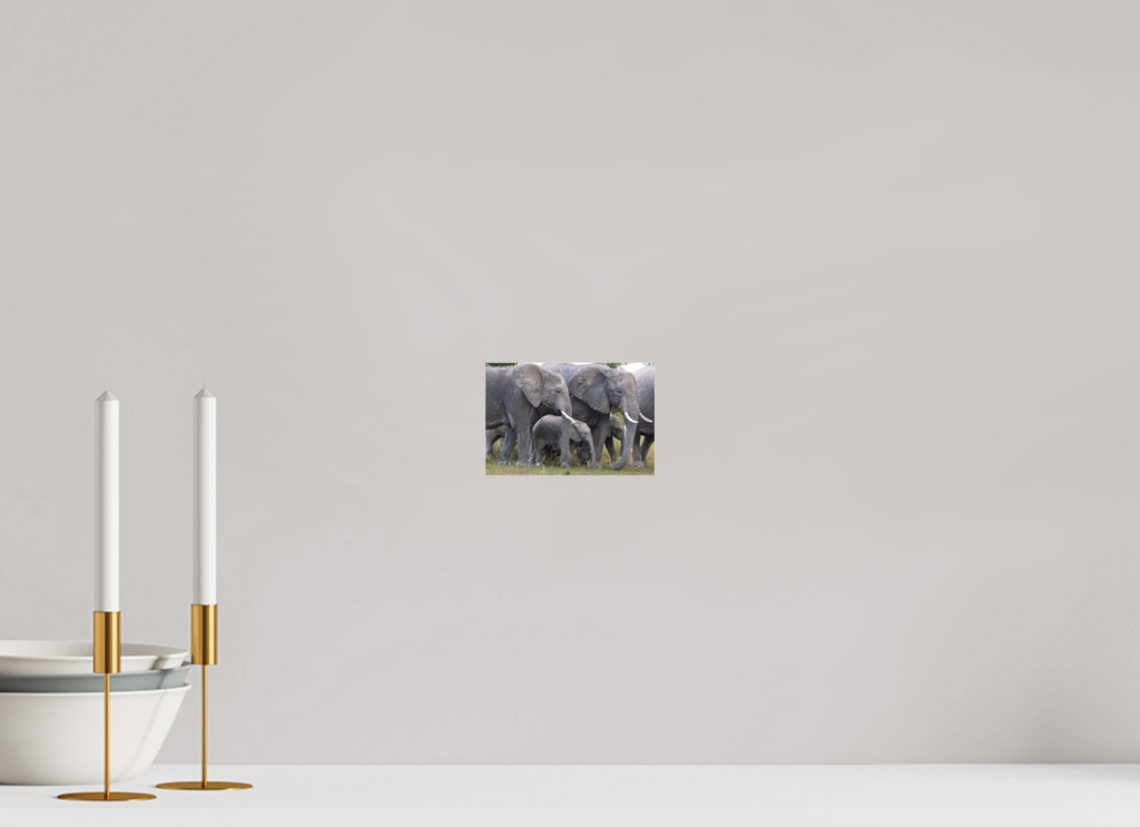 15 x 10 cm, Photo Print Under Acrylic Glass Elephant calf