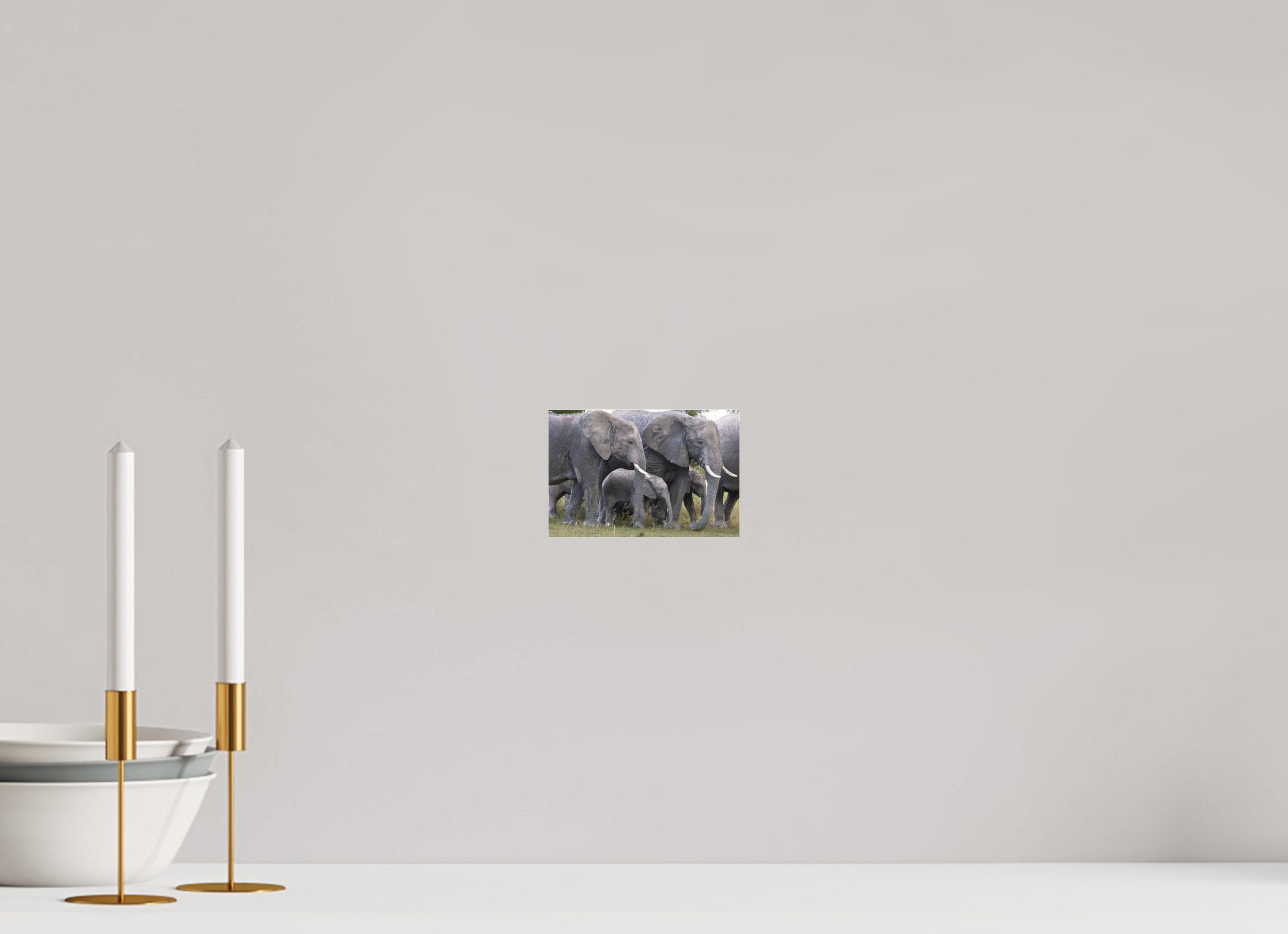 15 x 10 cm, Photo Print Under Acrylic Glass Elephant calf