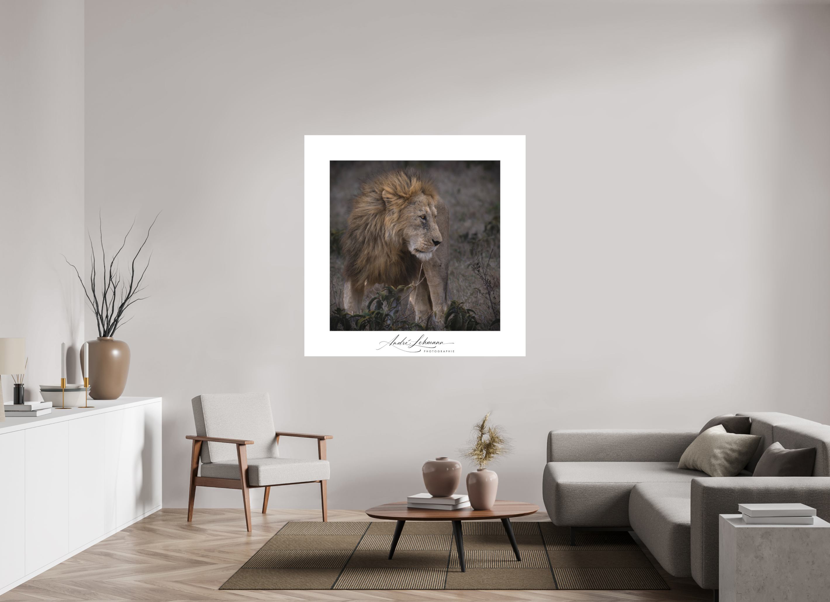 140 x 140 cm, Foto-Druck auf Alu-Dibond Male lion (Alu dibond)