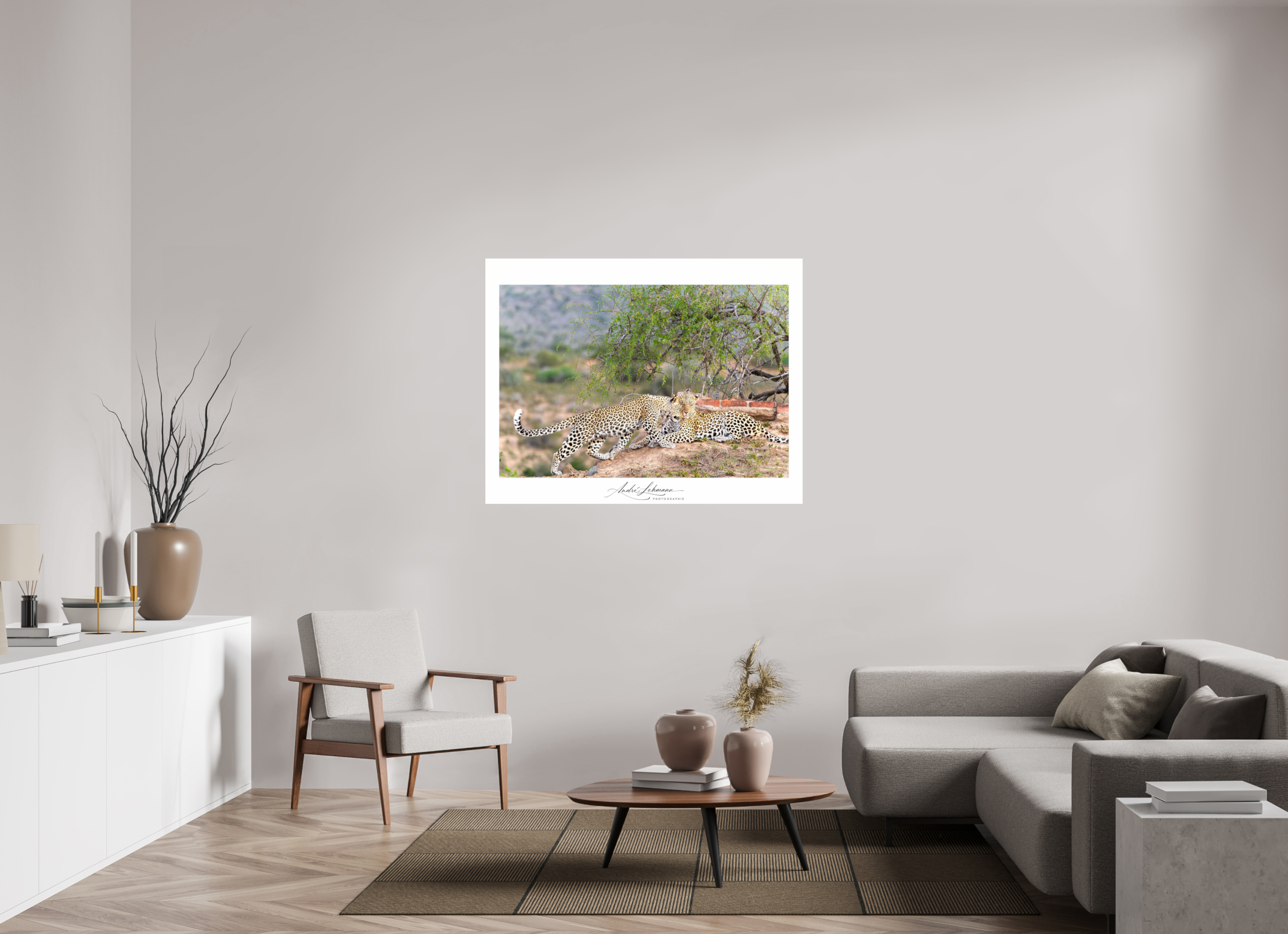 129.3 x 100 cm, Photo Print Under Acrylic Glass Two Leopards
