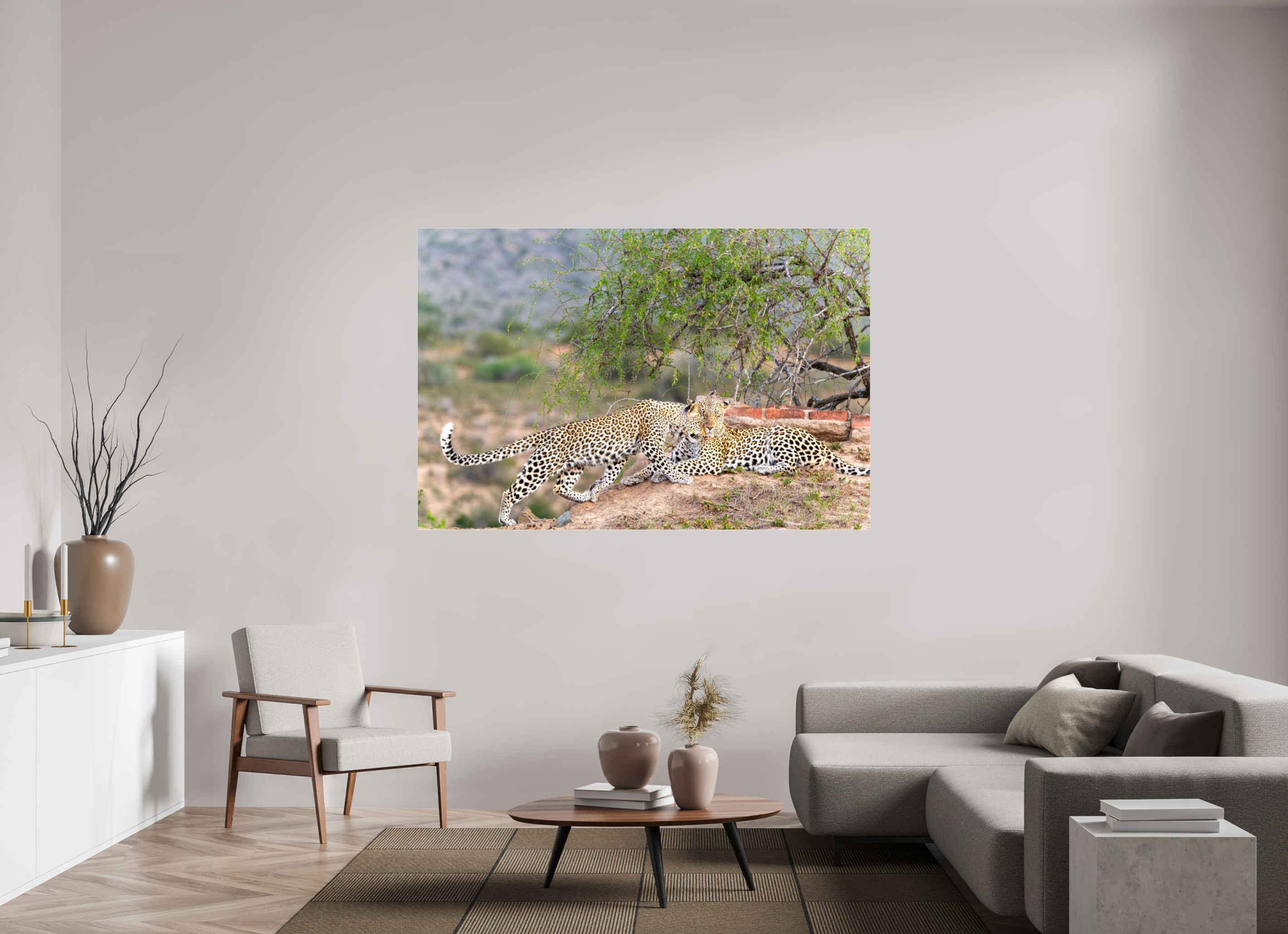 180 x 120 cm, Photo Print Under Acrylic Glass Two Leopards