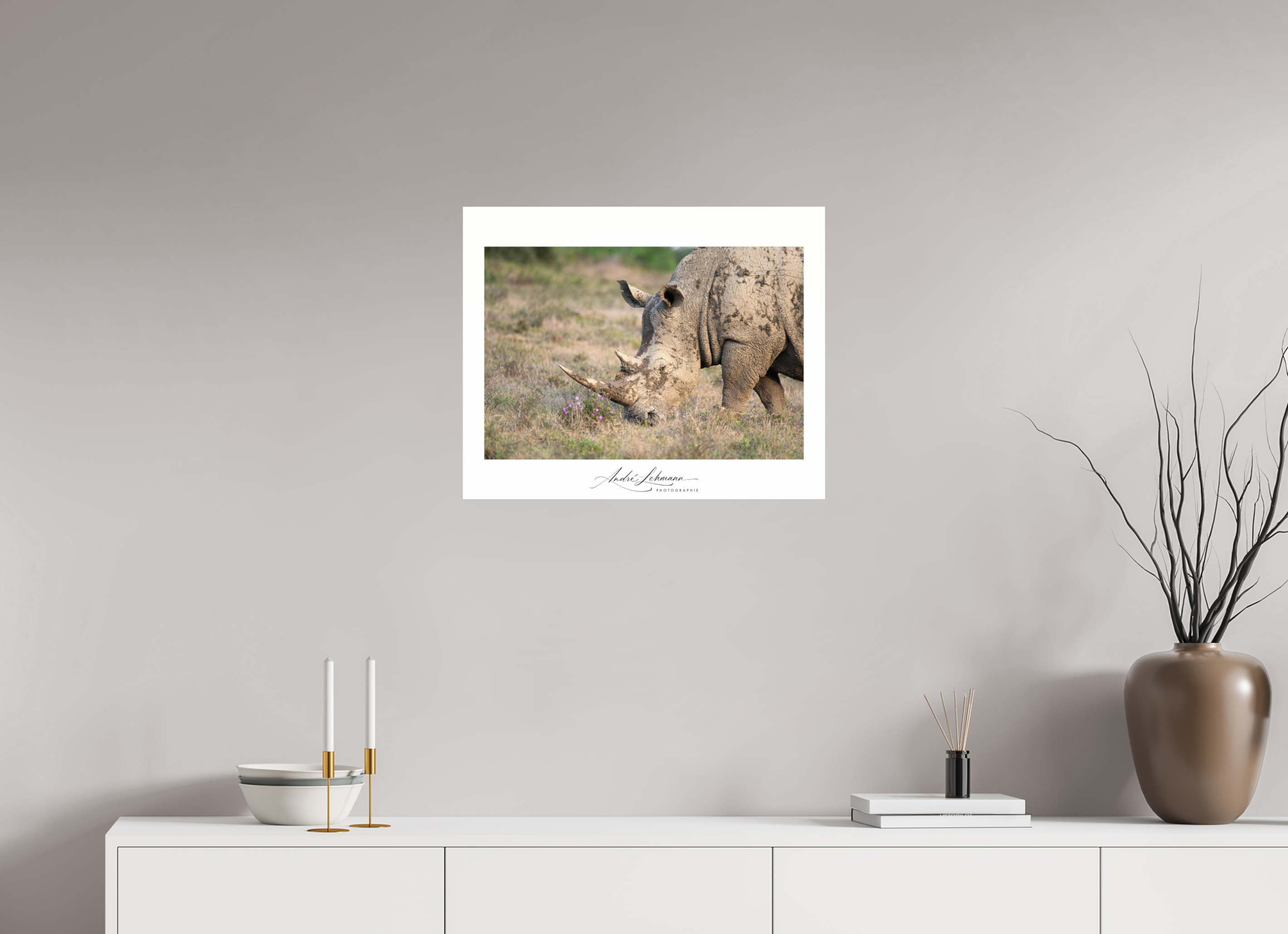 61.9 x 50 cm, Photo Print Under Acrylic Glass Rhino