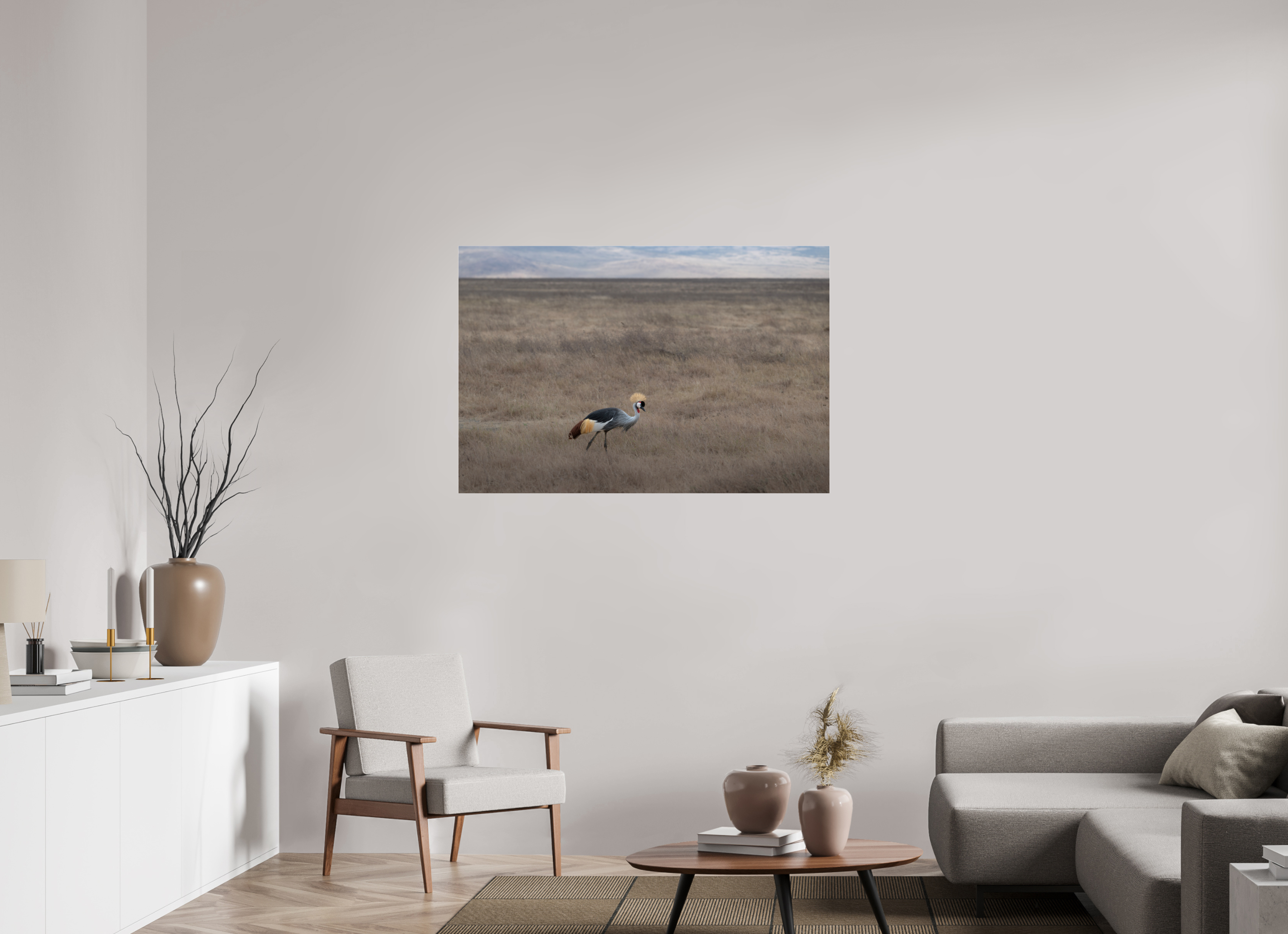 120 x 80 cm, Photo Print Under Acrylic Glass Grey Crowned Crane