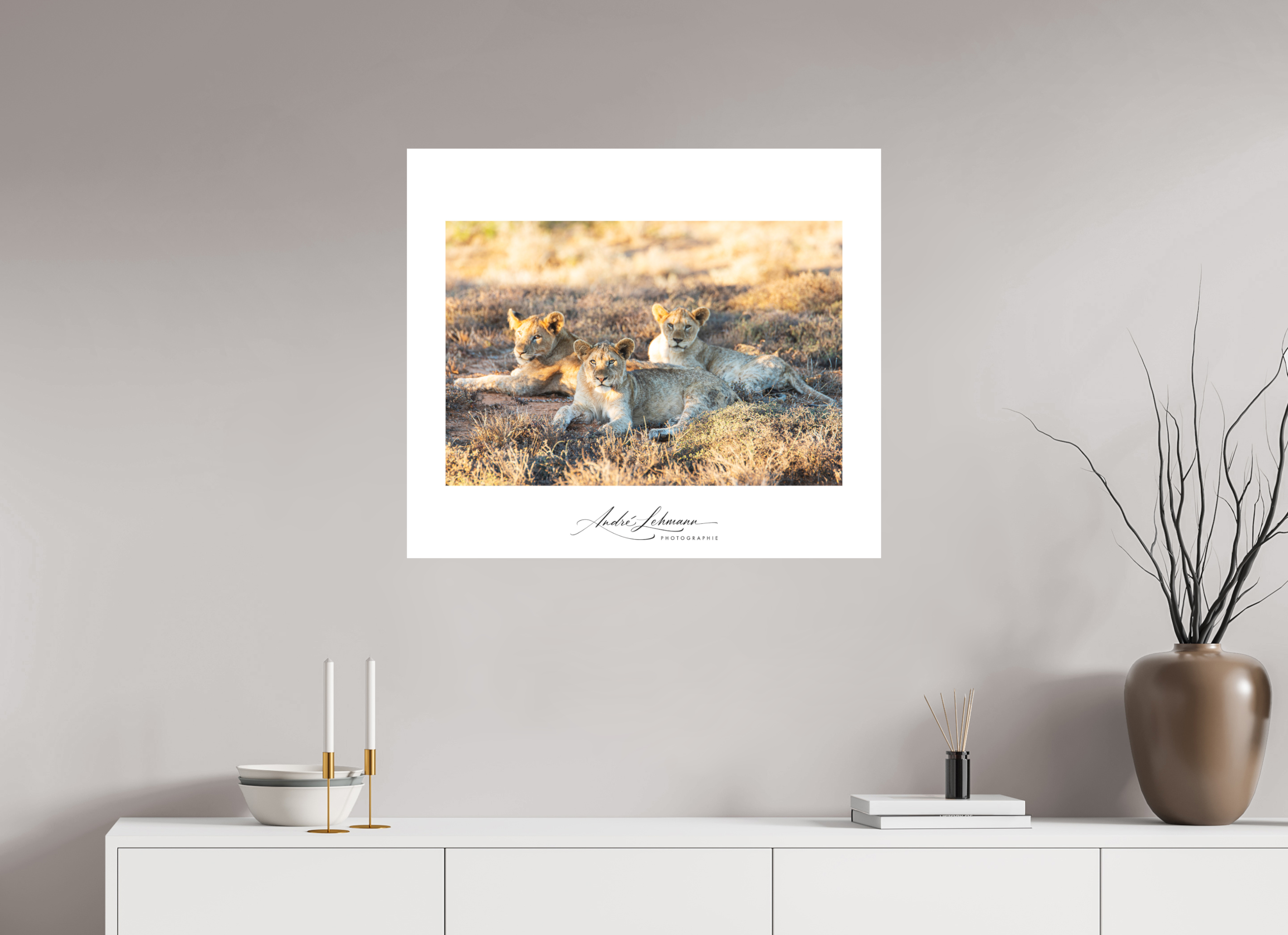 81.1 x 70 cm, Foto-Druck auf Alu-Dibond Lion Cubs (Alu Dibond)