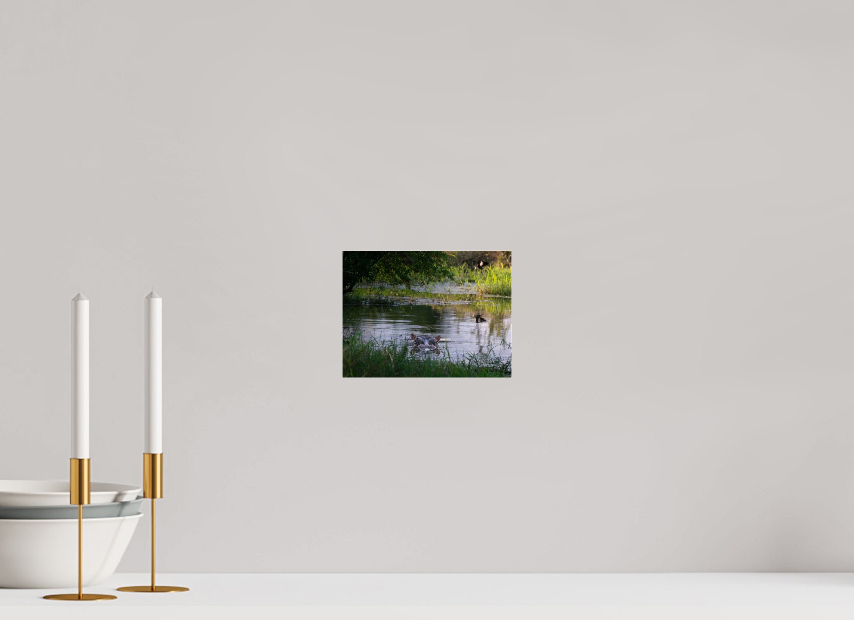 20 x 15 cm, Photo Print Under Acrylic Glass Hippo in the pond