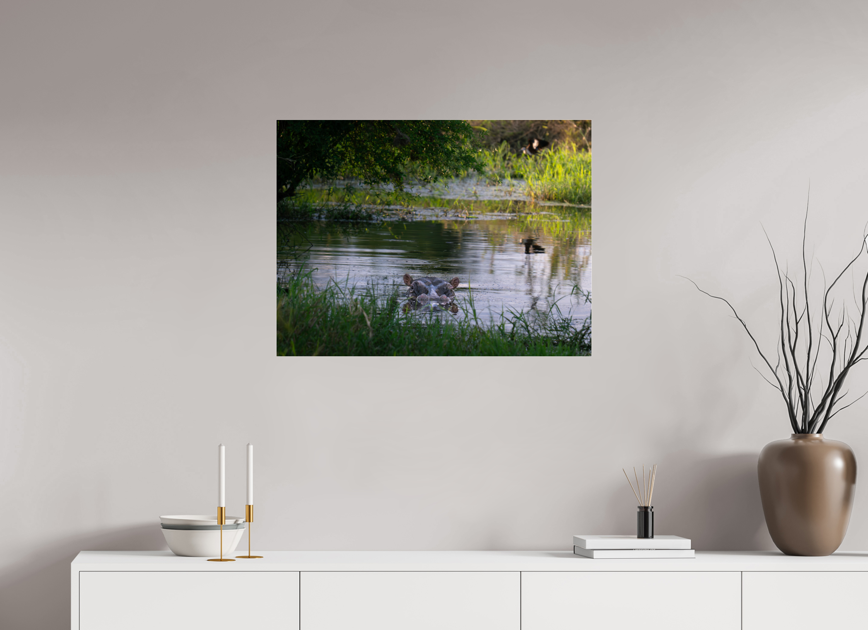 80 x 60 cm, Photo Print Under Acrylic Glass Hippo in the pond